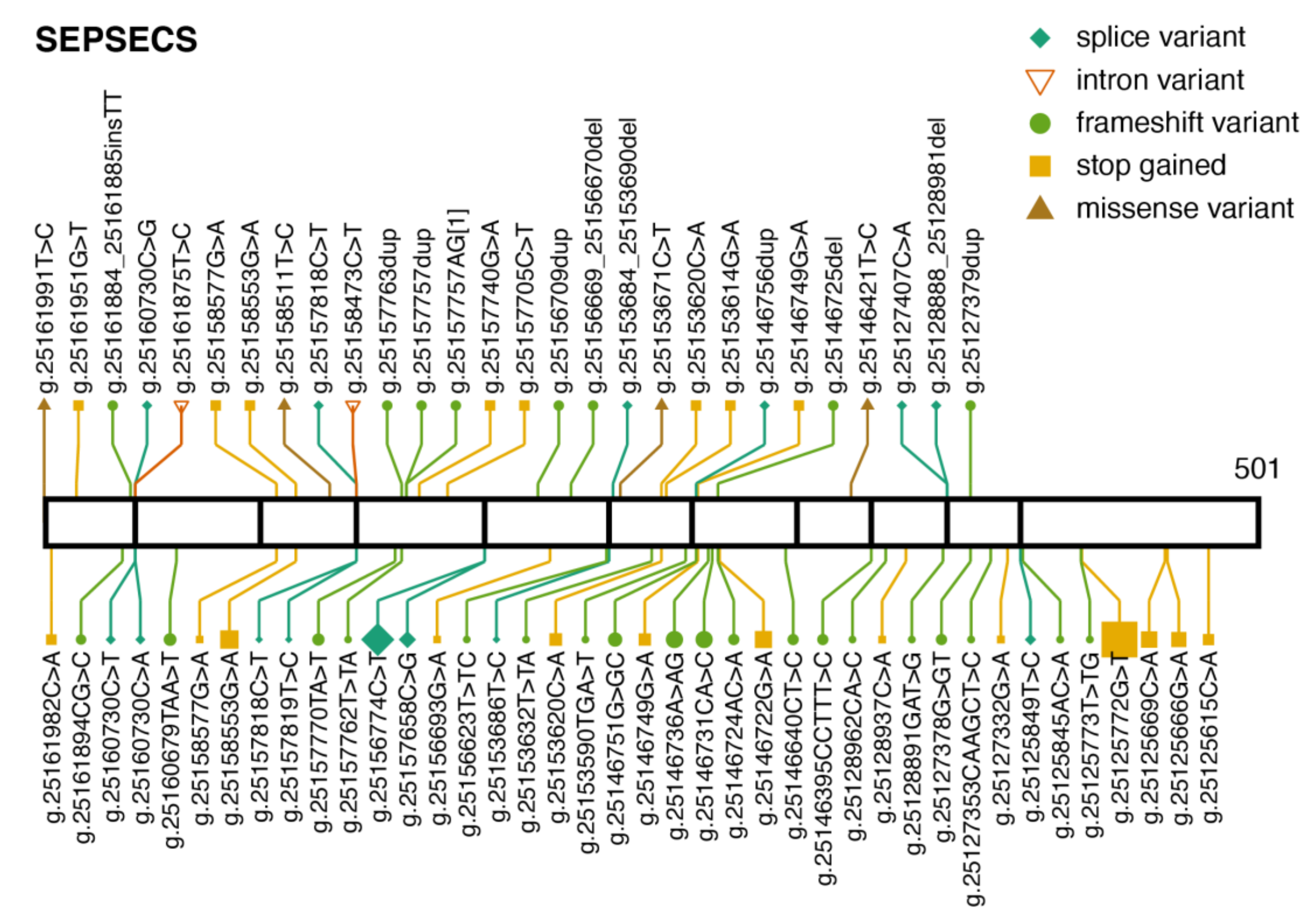 Ijms 22 11593 g006 Ijms 22 11593 g006