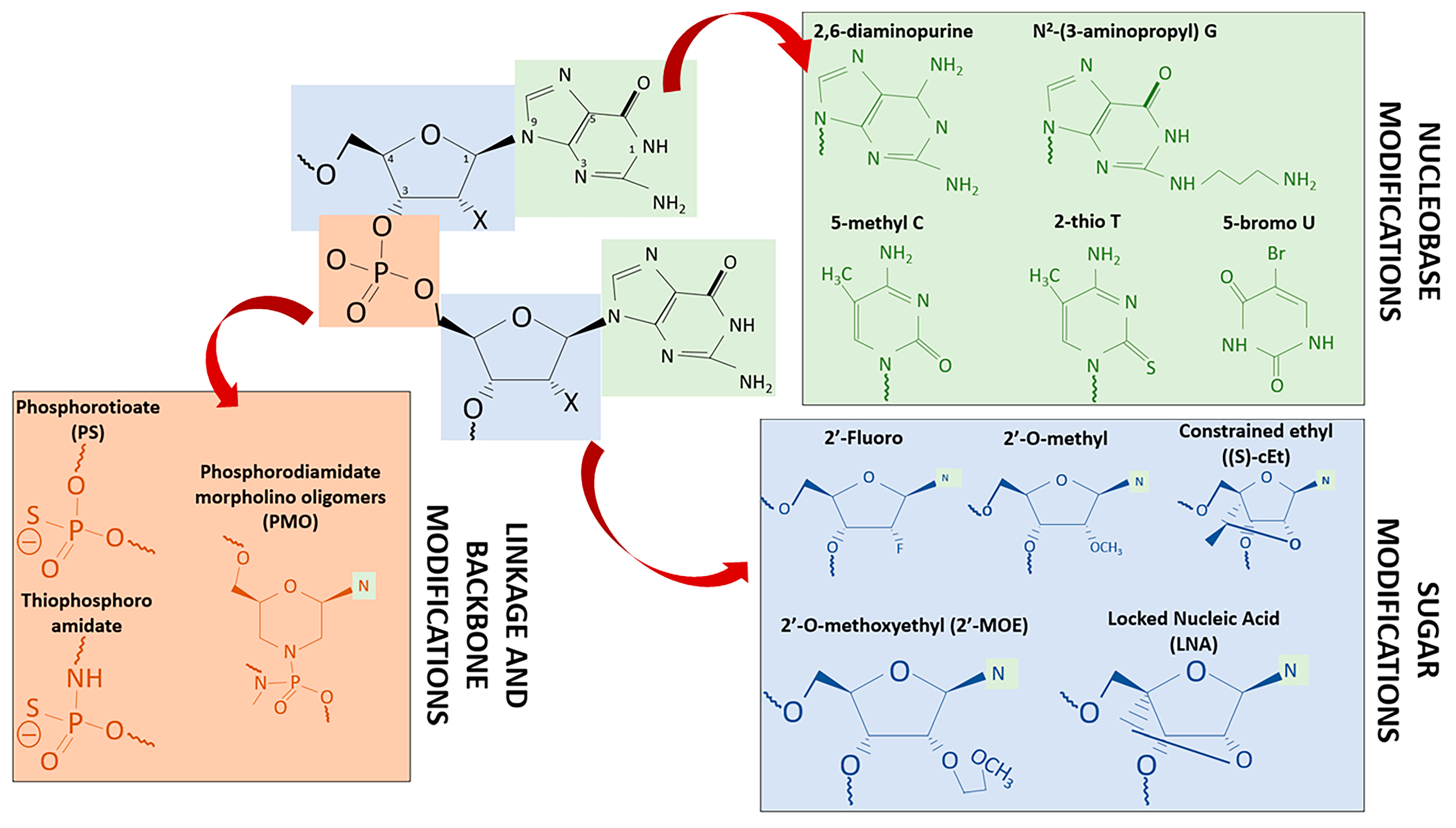 Ijms 22 11596 g002 Ijms 22 11596 g002