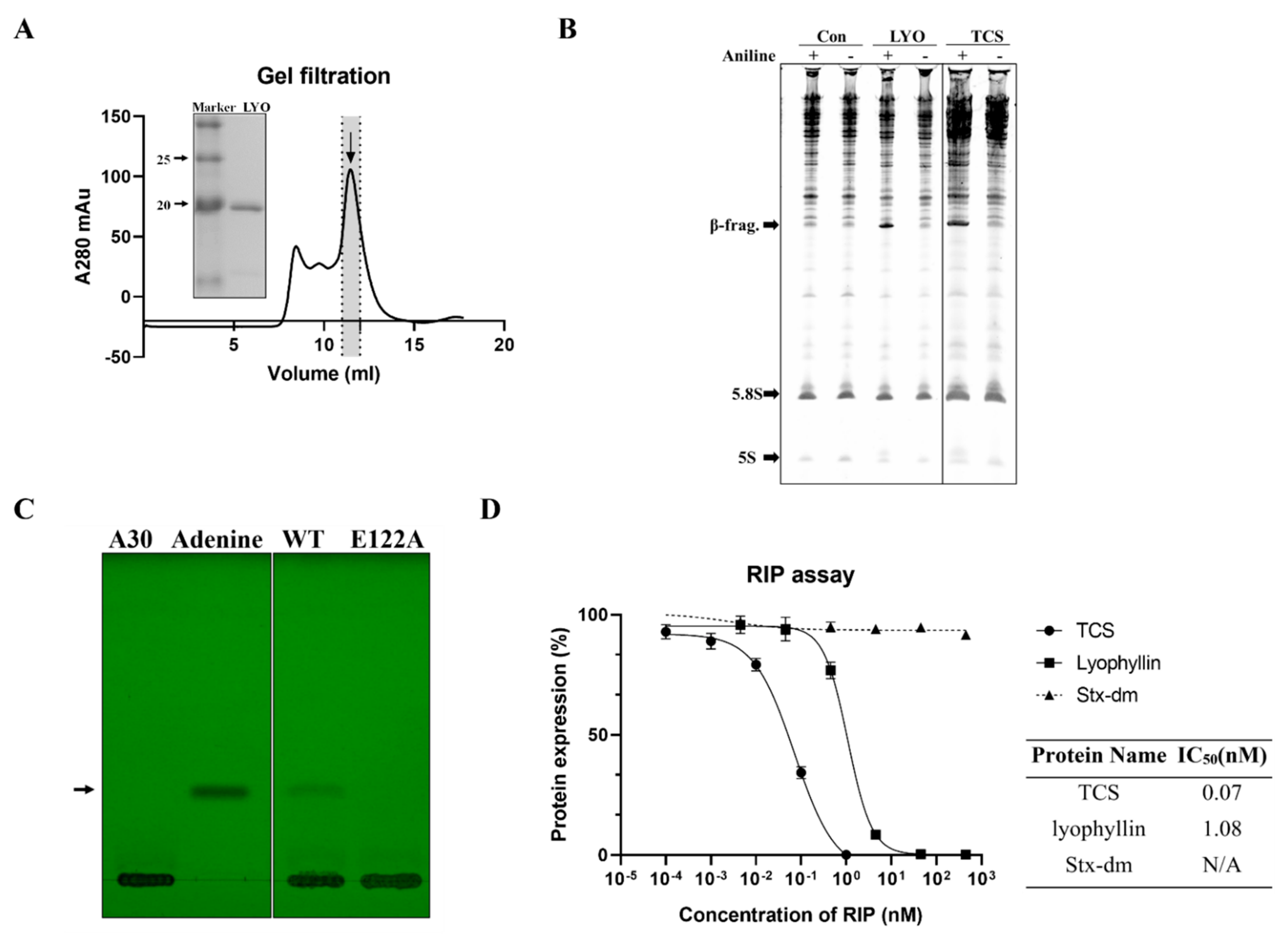 Ijms 22 11598 g002 550