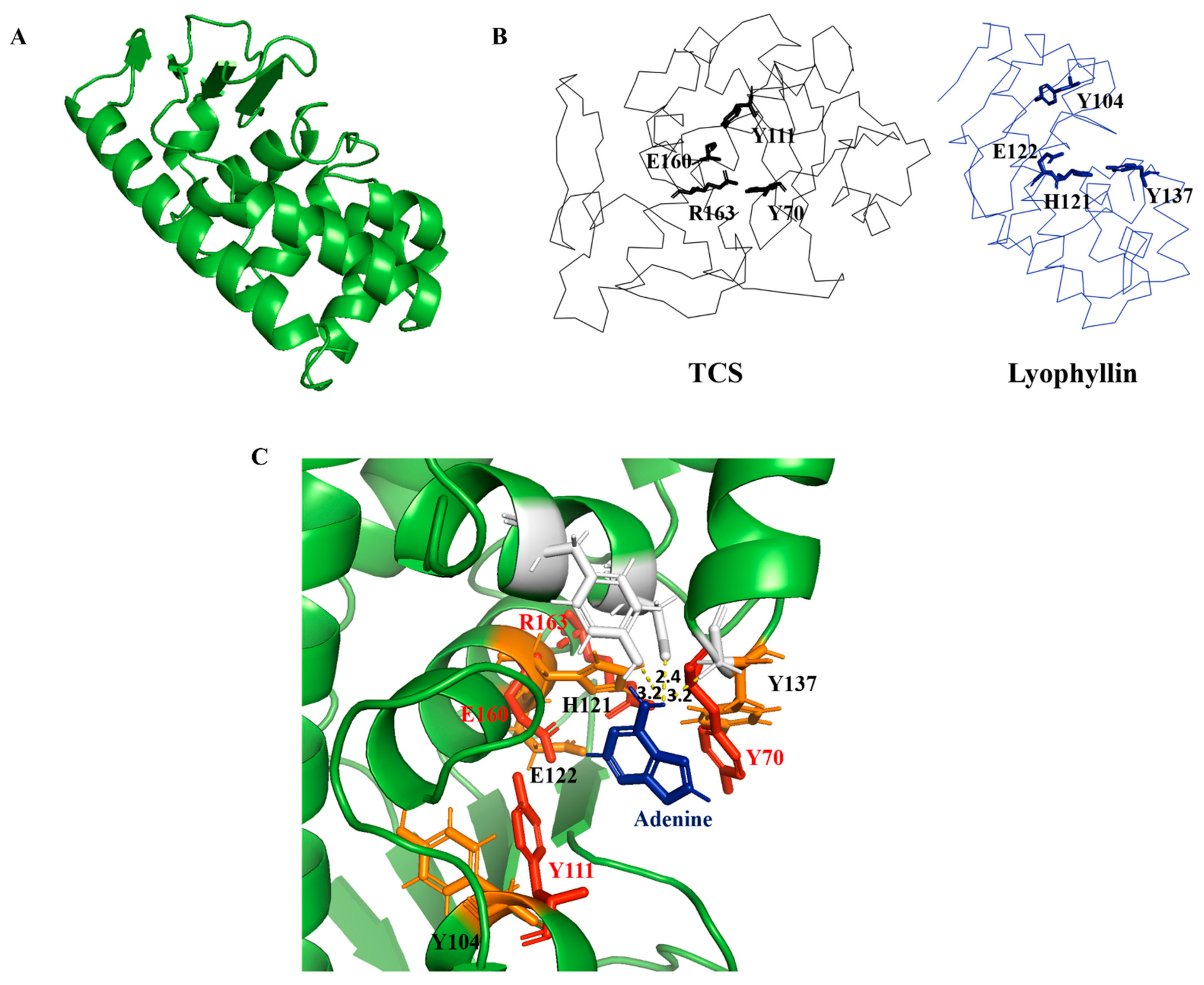 The Role of Zinc in Antiviral Immunity - Advances in Nutrition