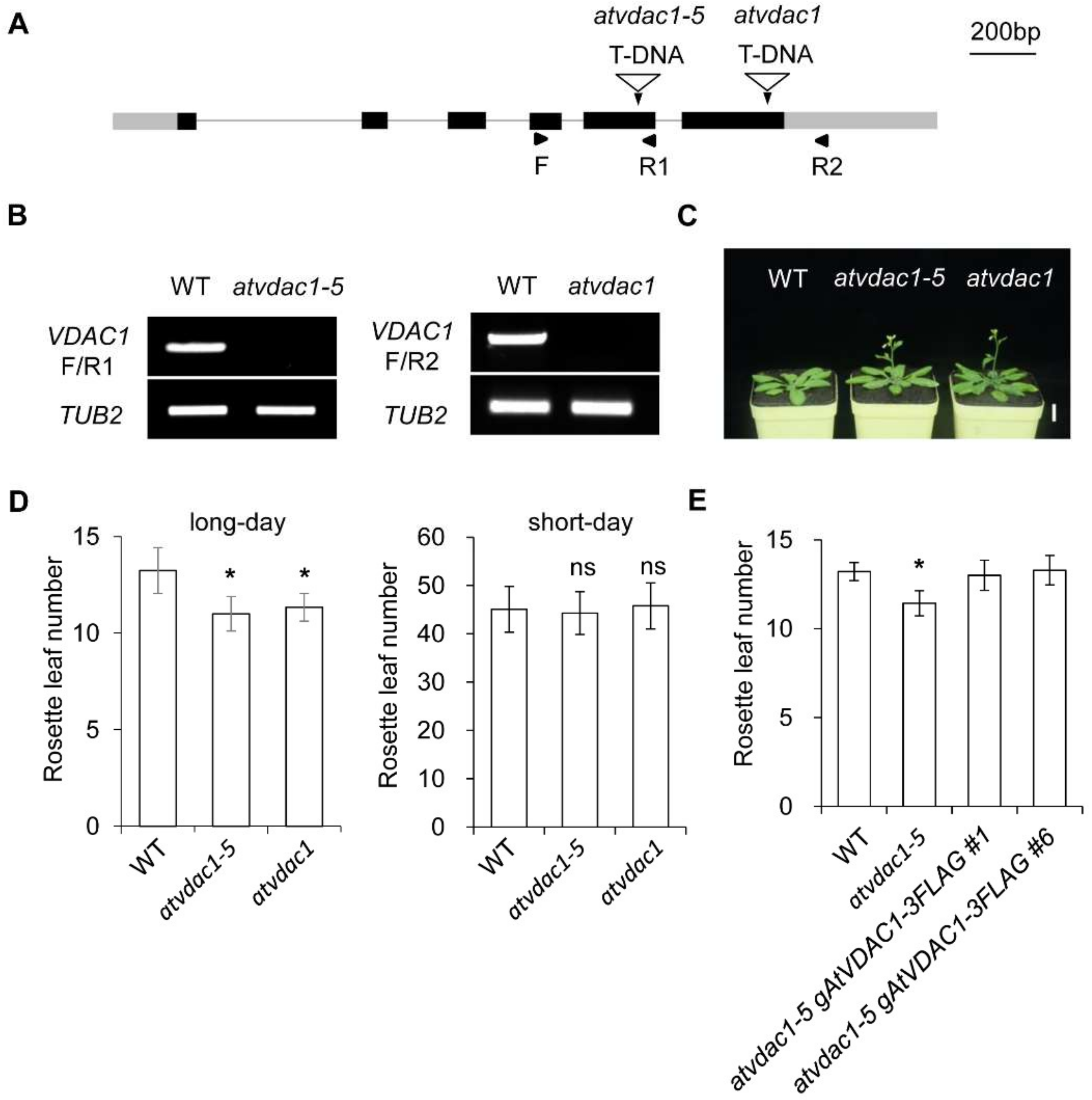 Ijms 22 11603 g001 550