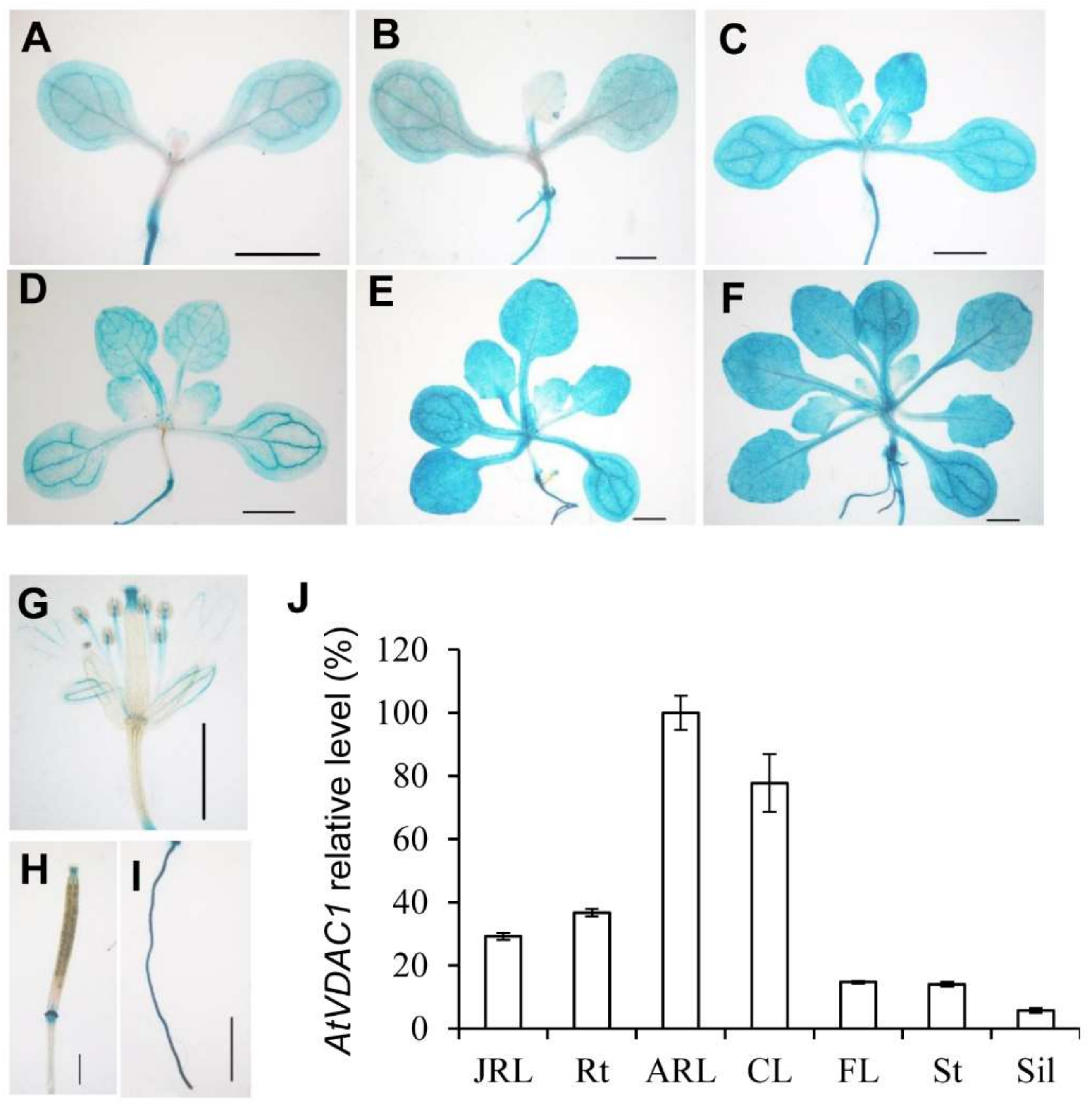 Ijms 22 11603 g002 550