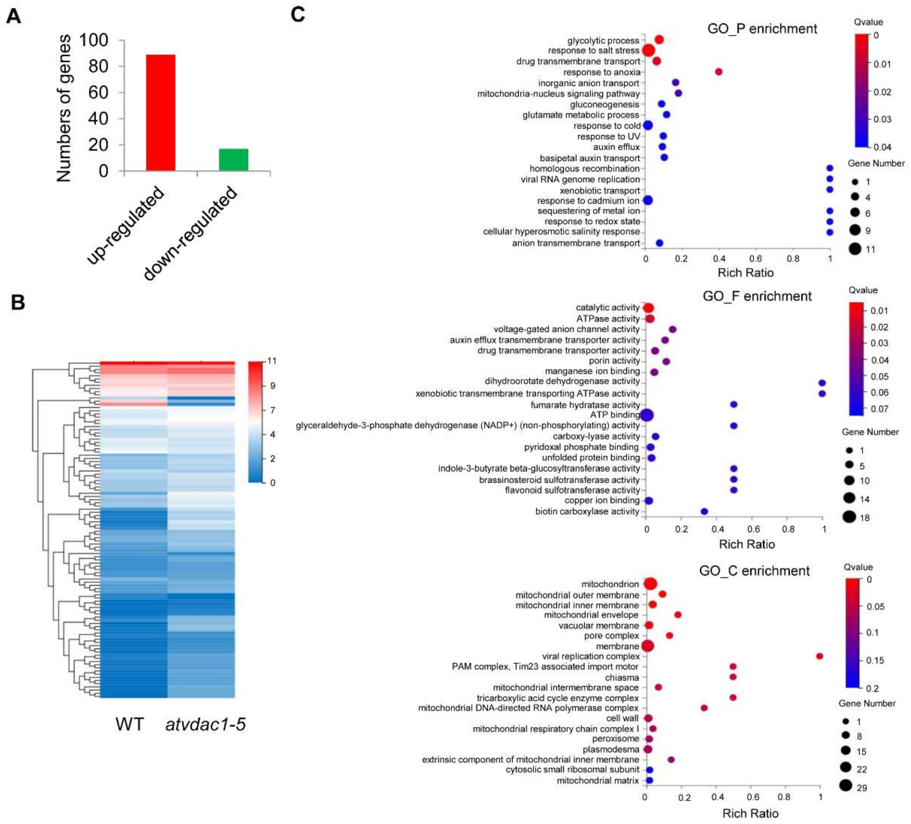 Ijms 22 11603 g003 550