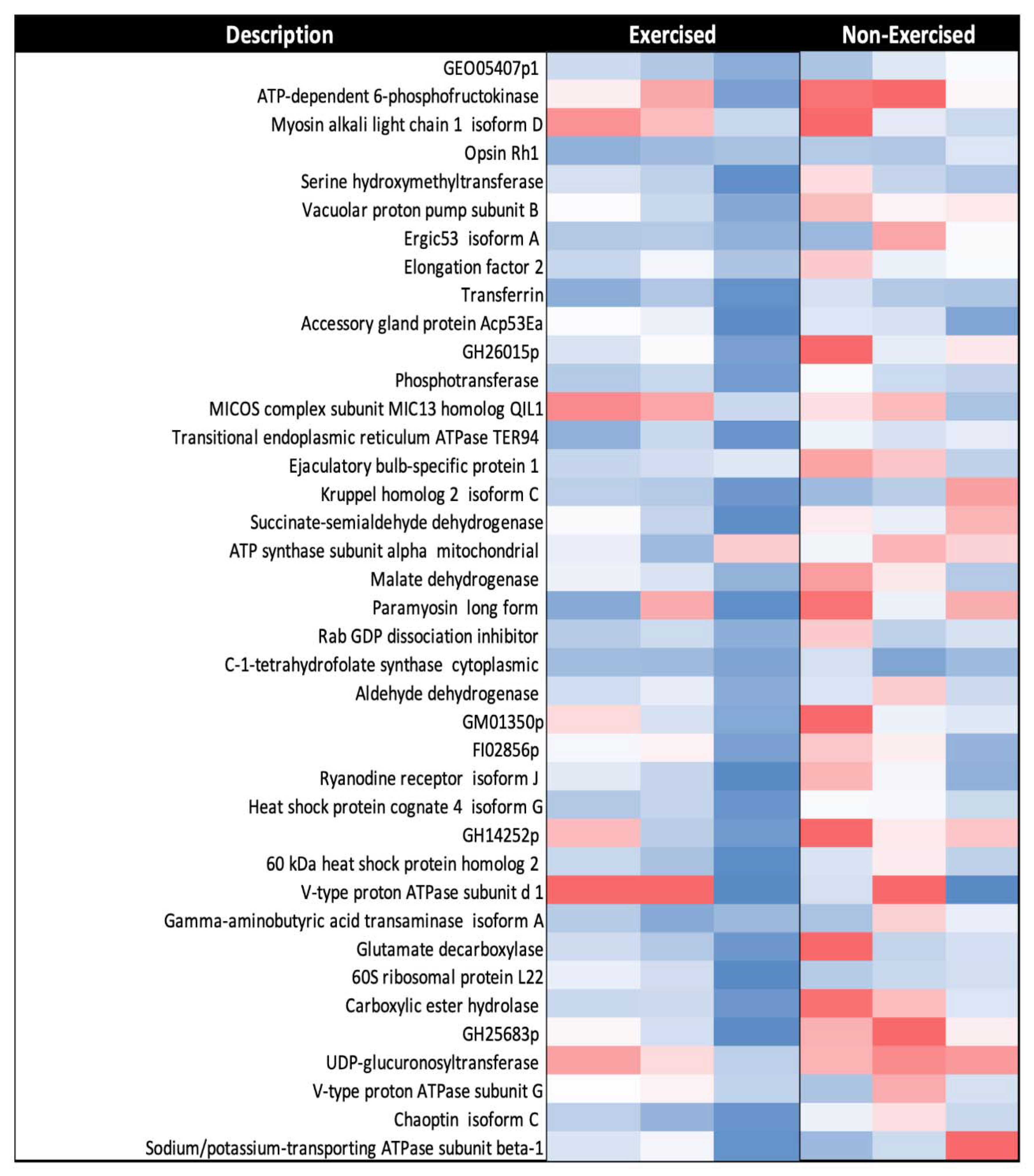 Ijms 22 11606 g006 550