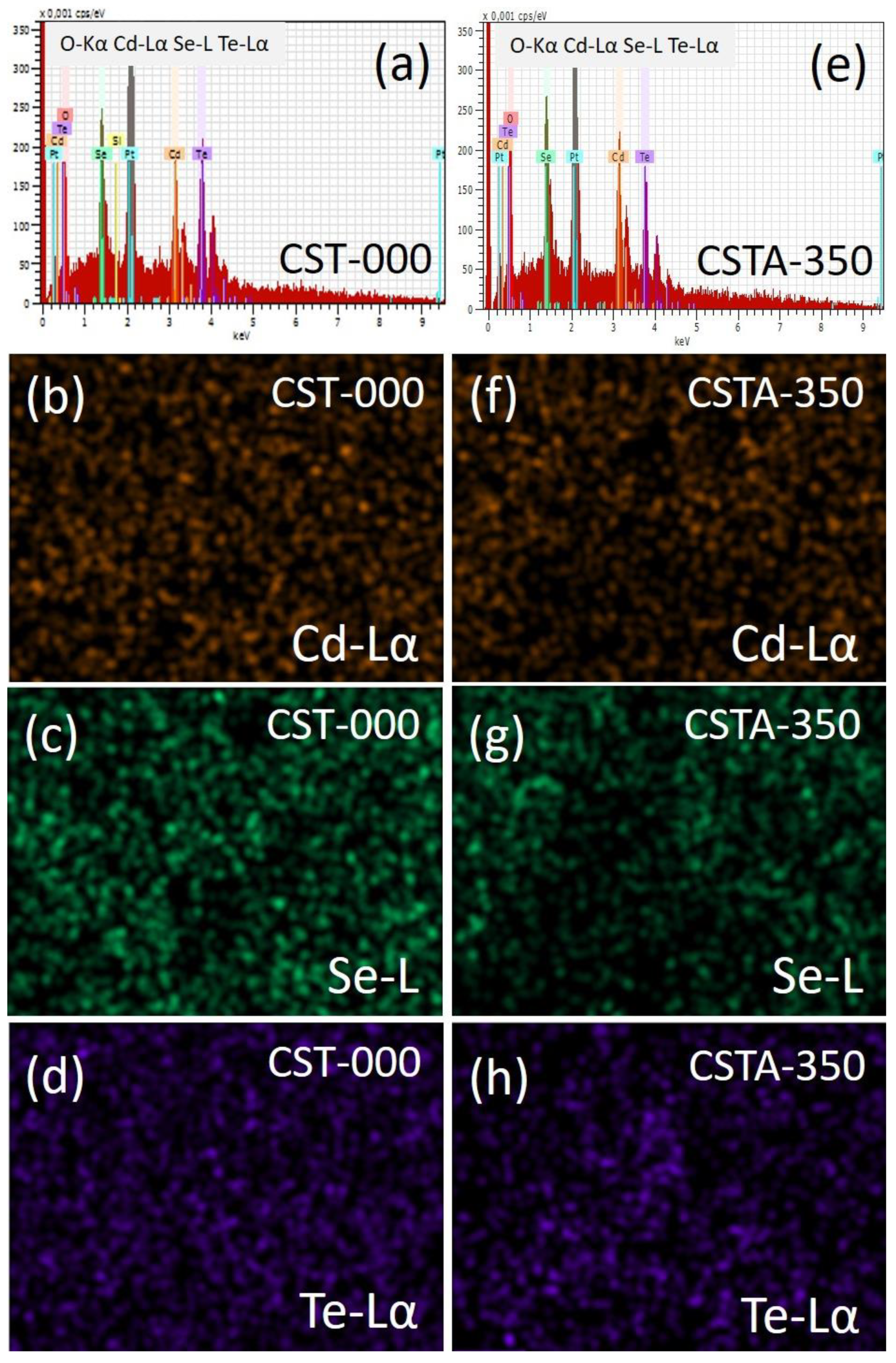 Ijms 22 11610 g003 Ijms 22 11610 g003