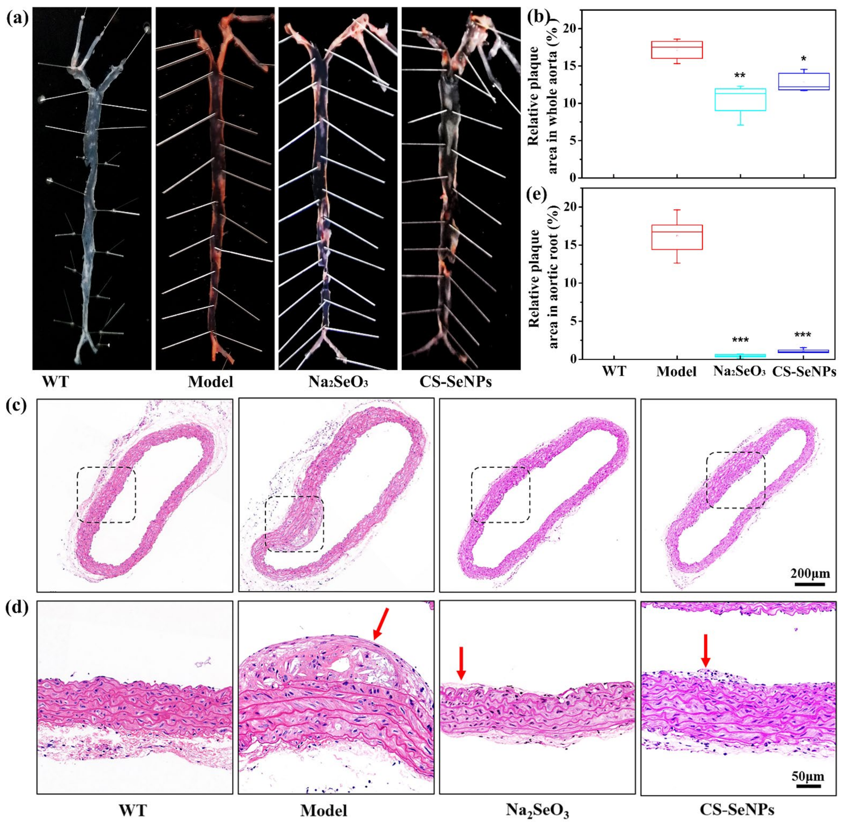 Ijms 22 11612 g003 550