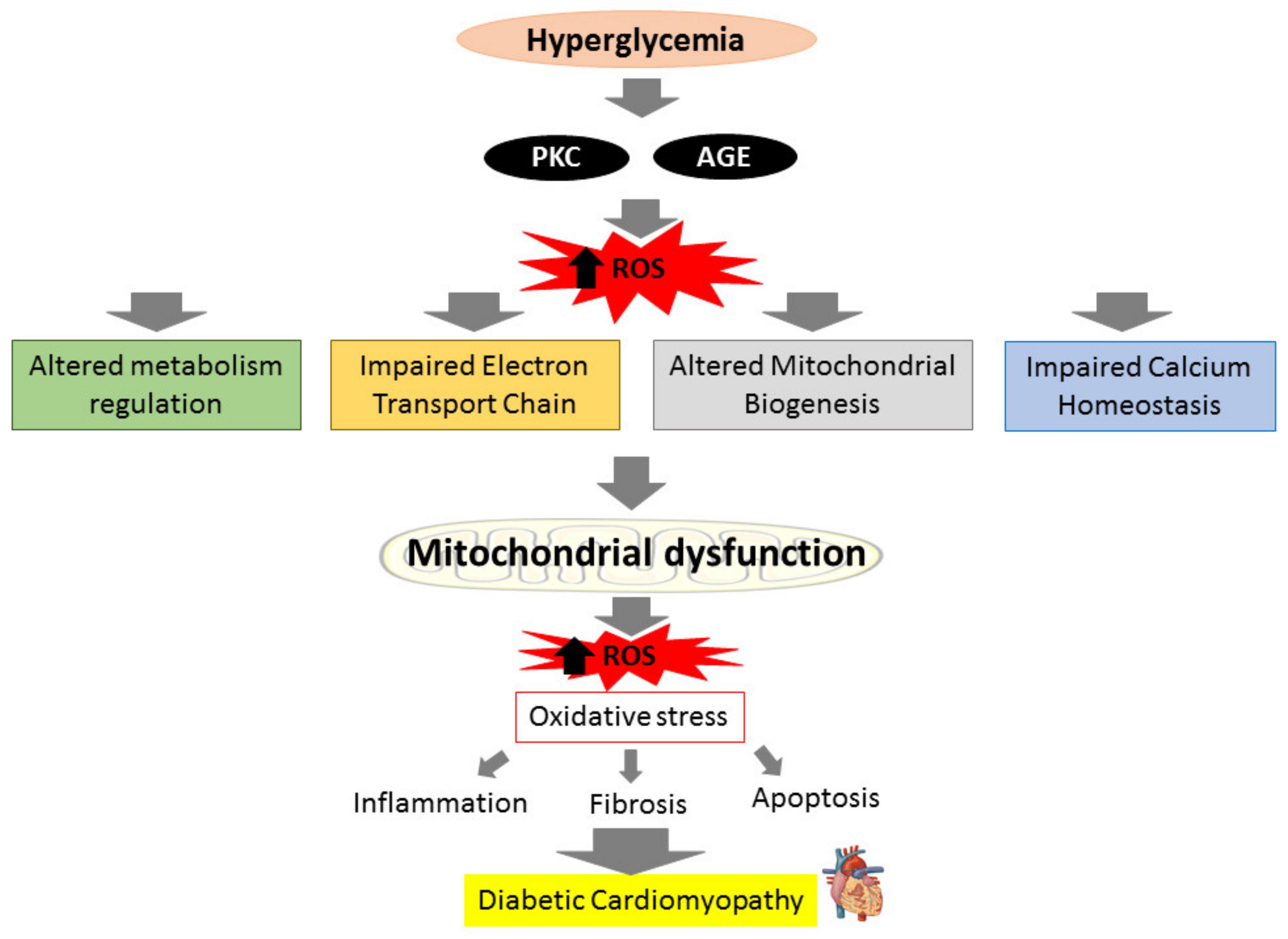 Ijms 22 11616 g001 550