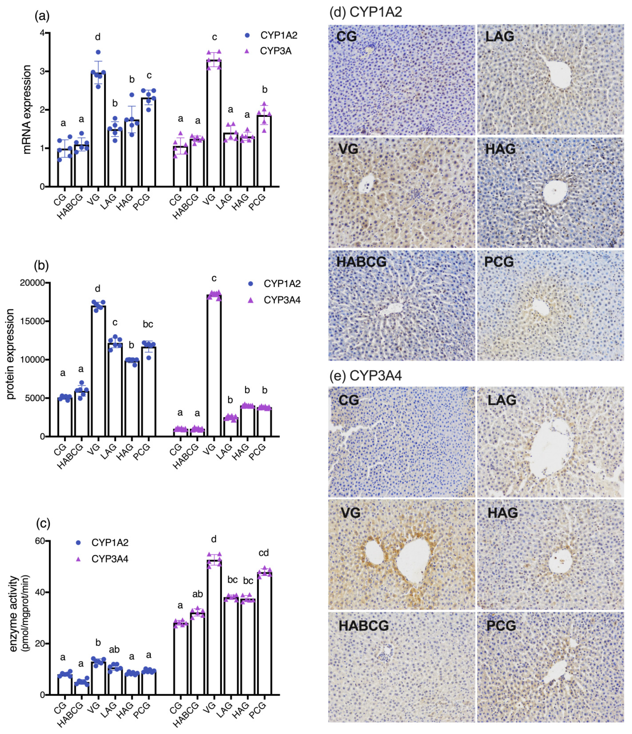 Ijms 22 11620 g004 550