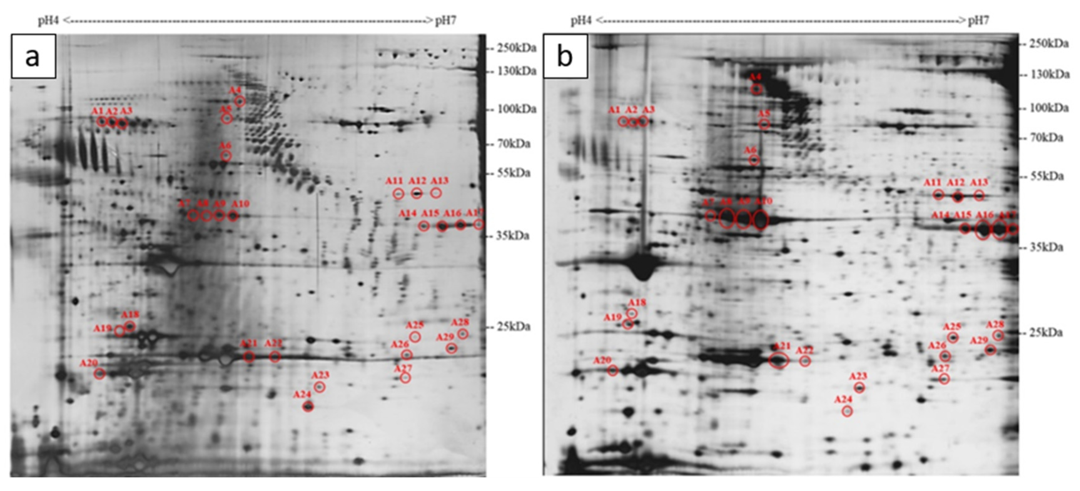 Ijms 22 11625 g002 550