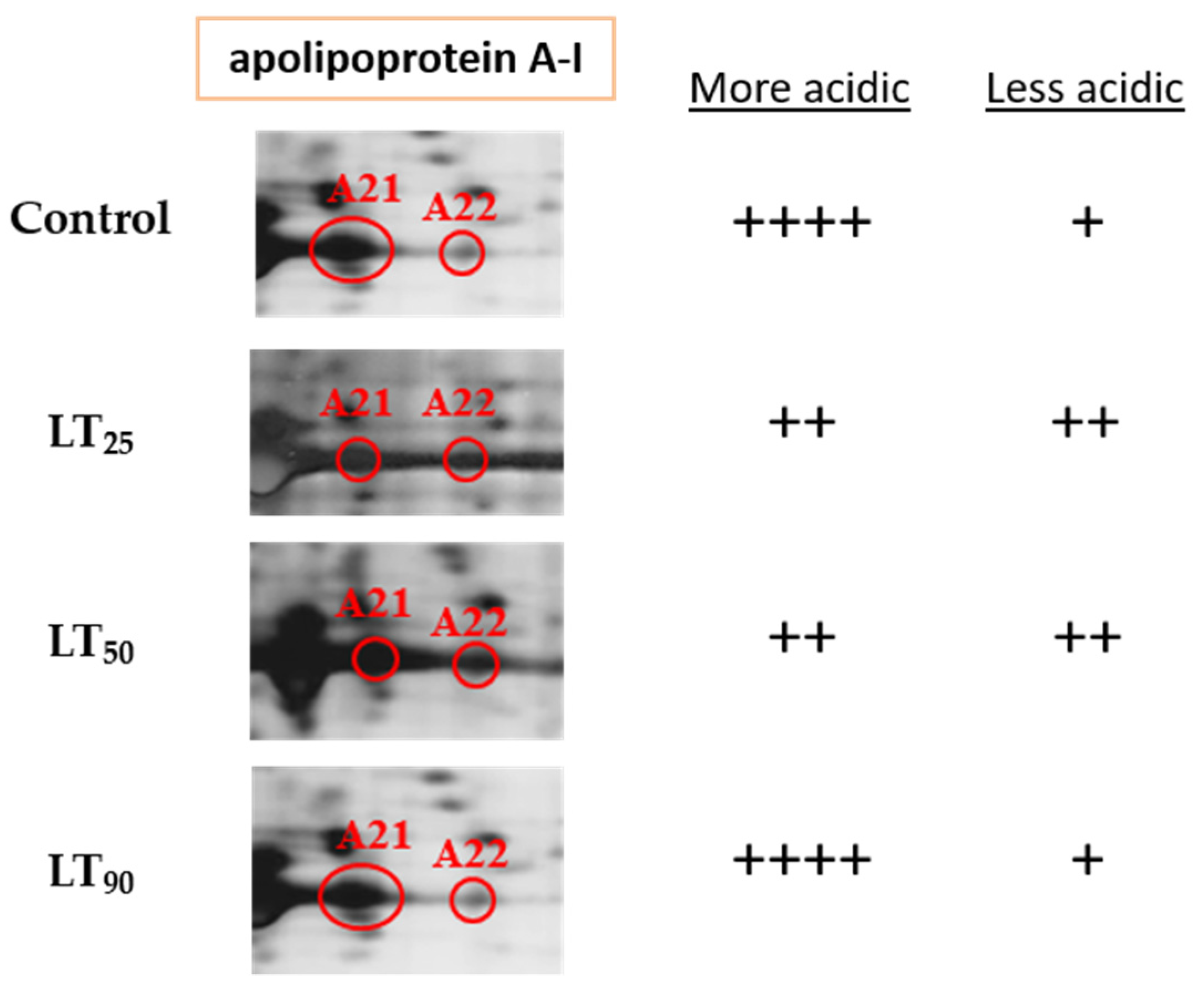 Ijms 22 11625 g004 550