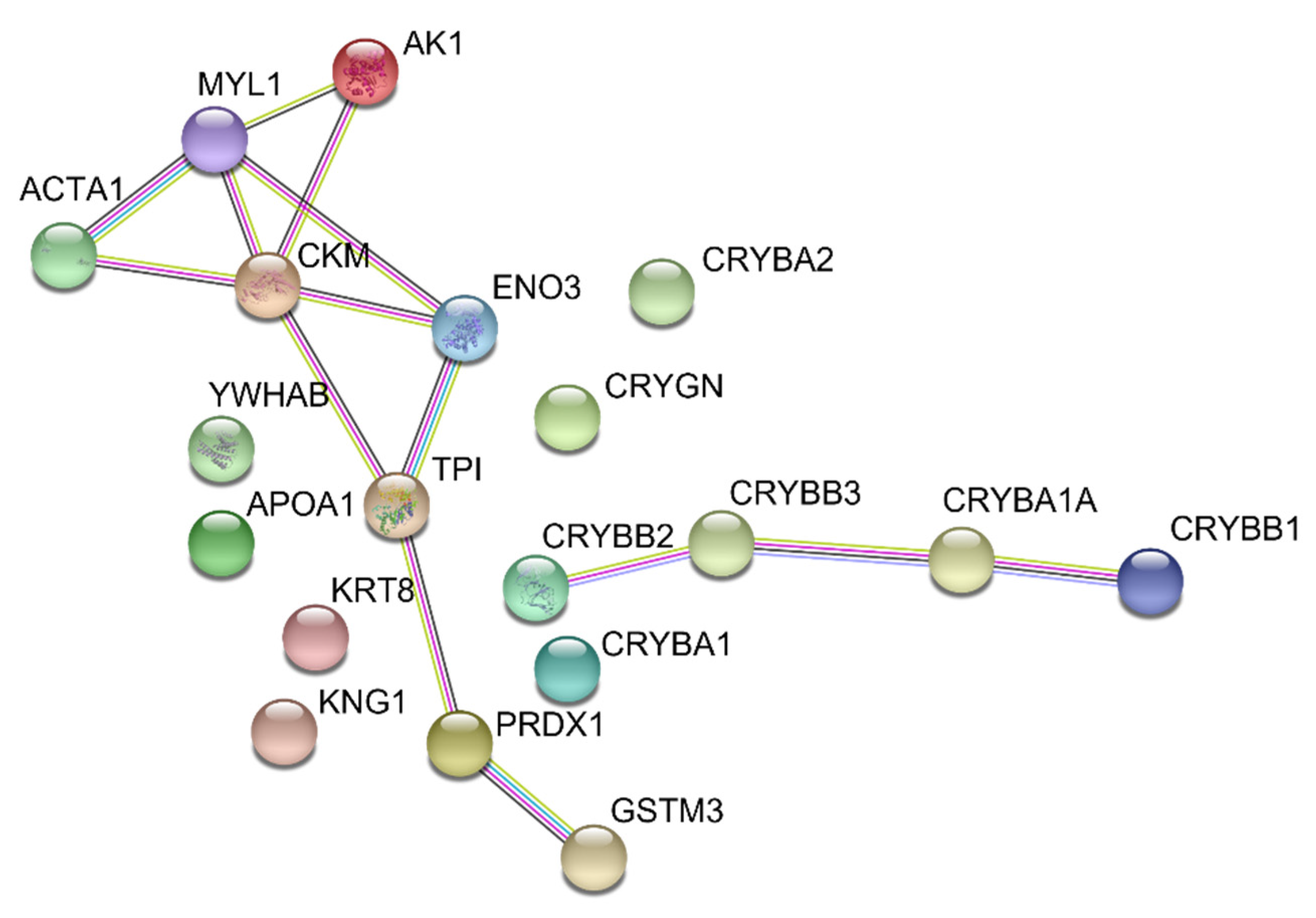 Ijms 22 11625 g005 550
