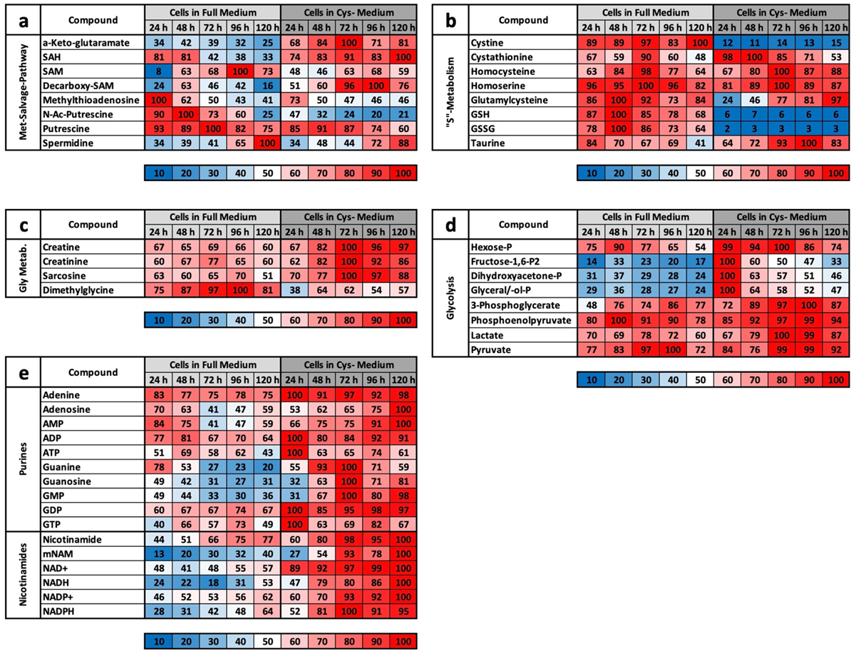 Ijms 22 11630 g004 550