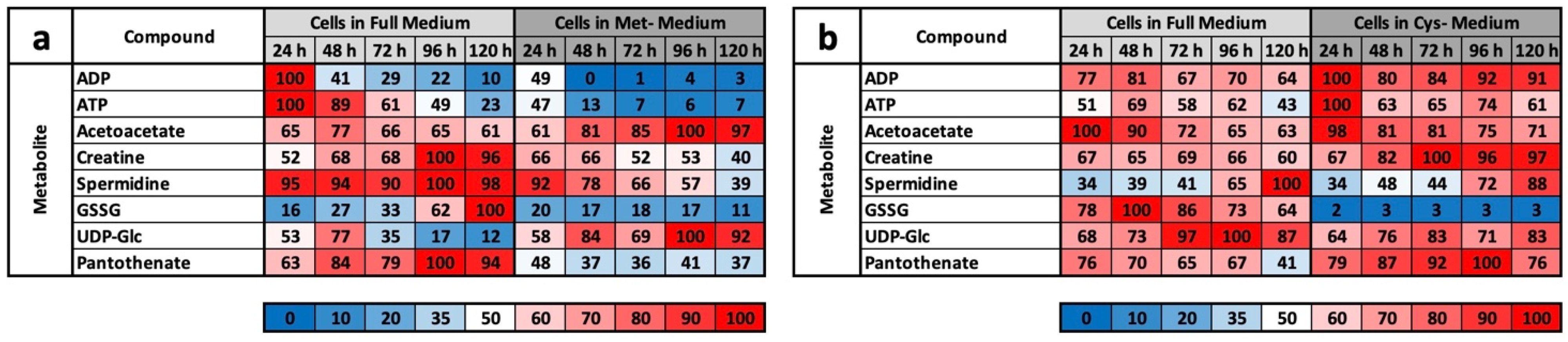 Ijms 22 11630 g005 550