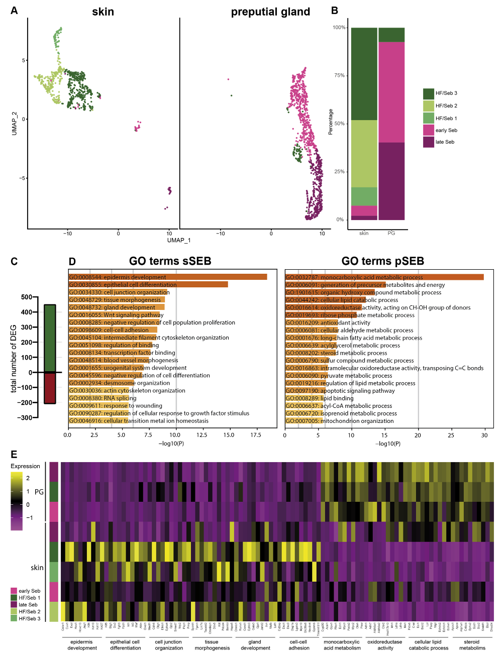 Ijms 22 11631 g002 Ijms 22 11631 g002