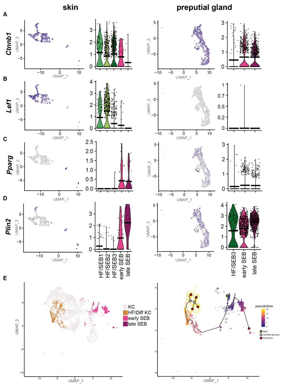 Ijms 22 11631 g003 Ijms 22 11631 g003