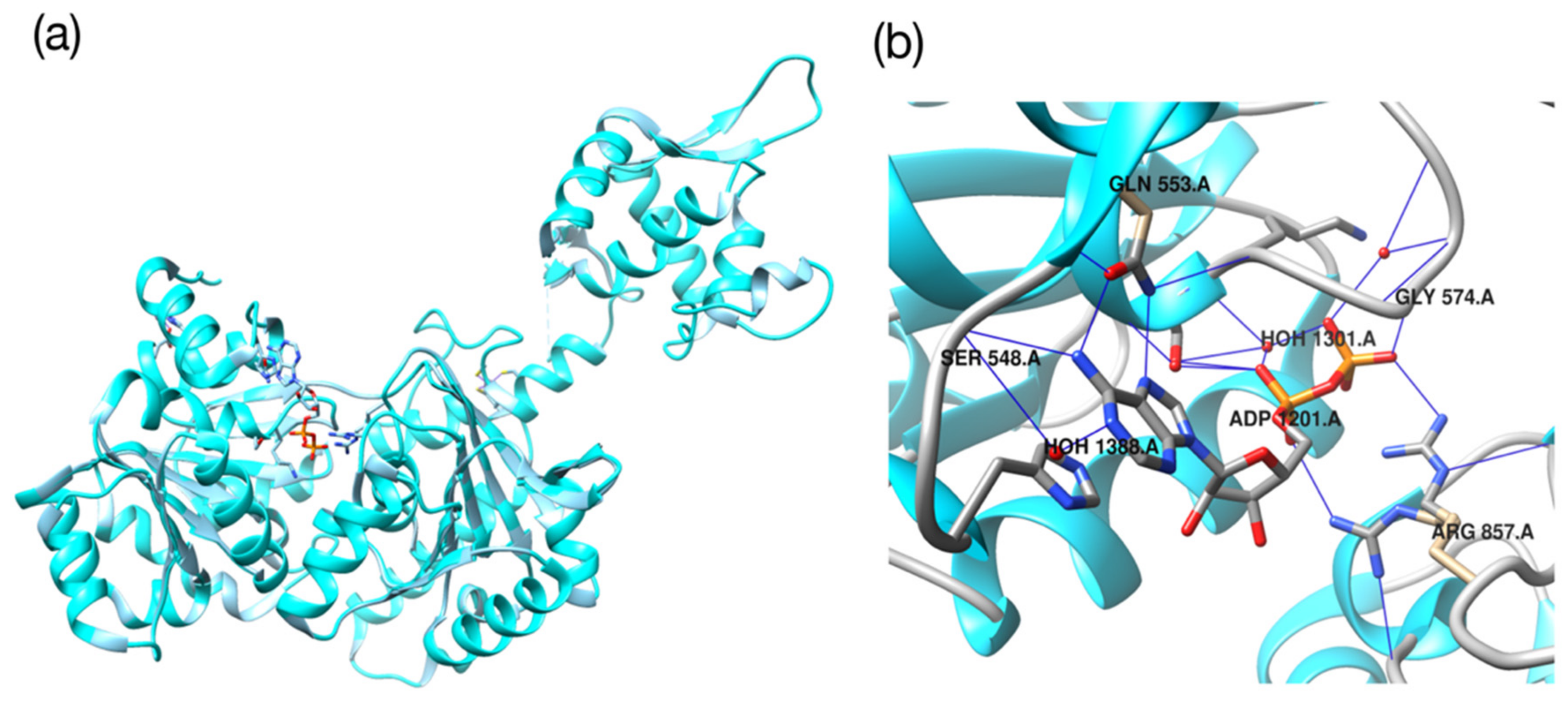 Ijms 22 11635 g009 550