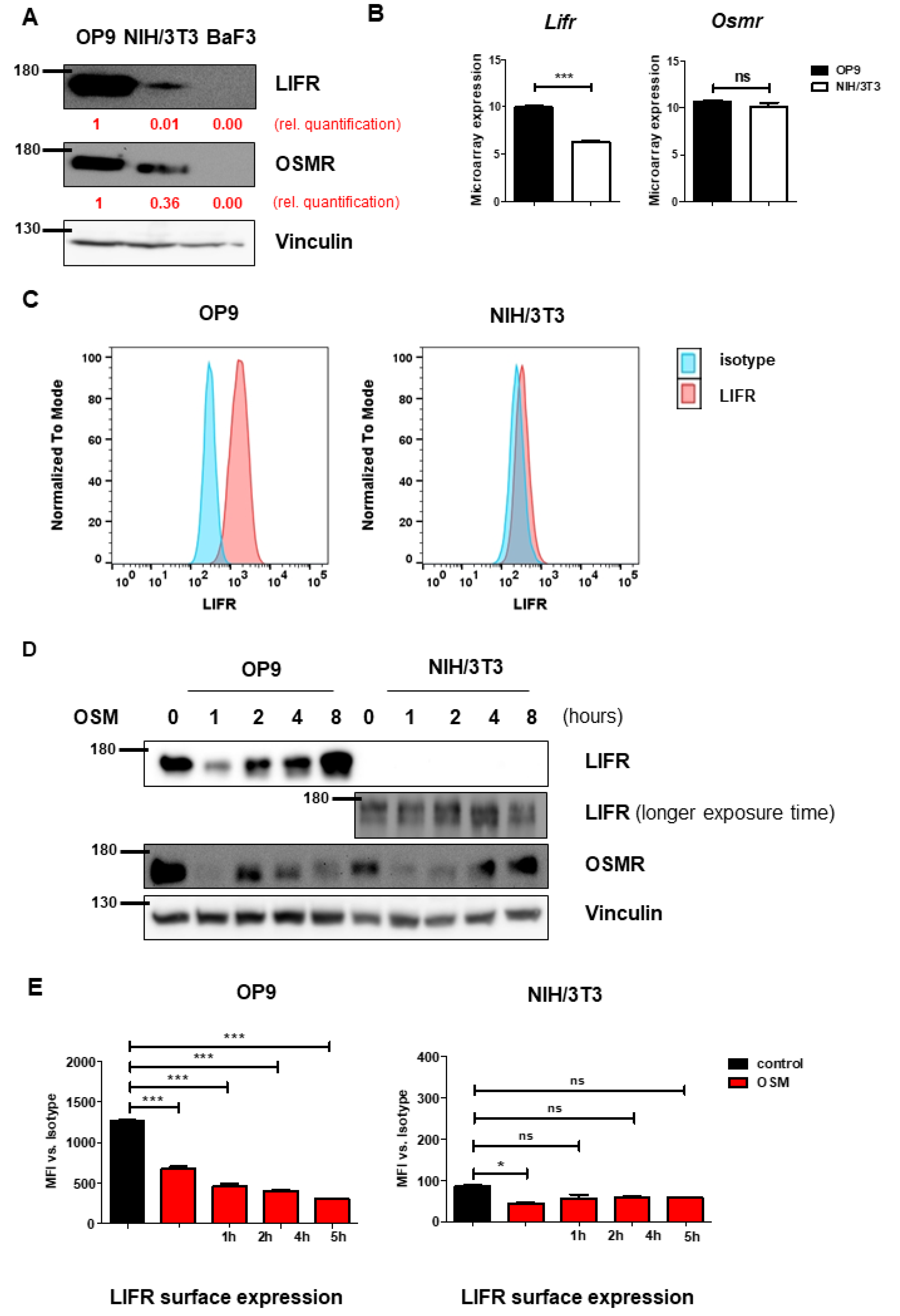 Ijms 22 11649 g002 550