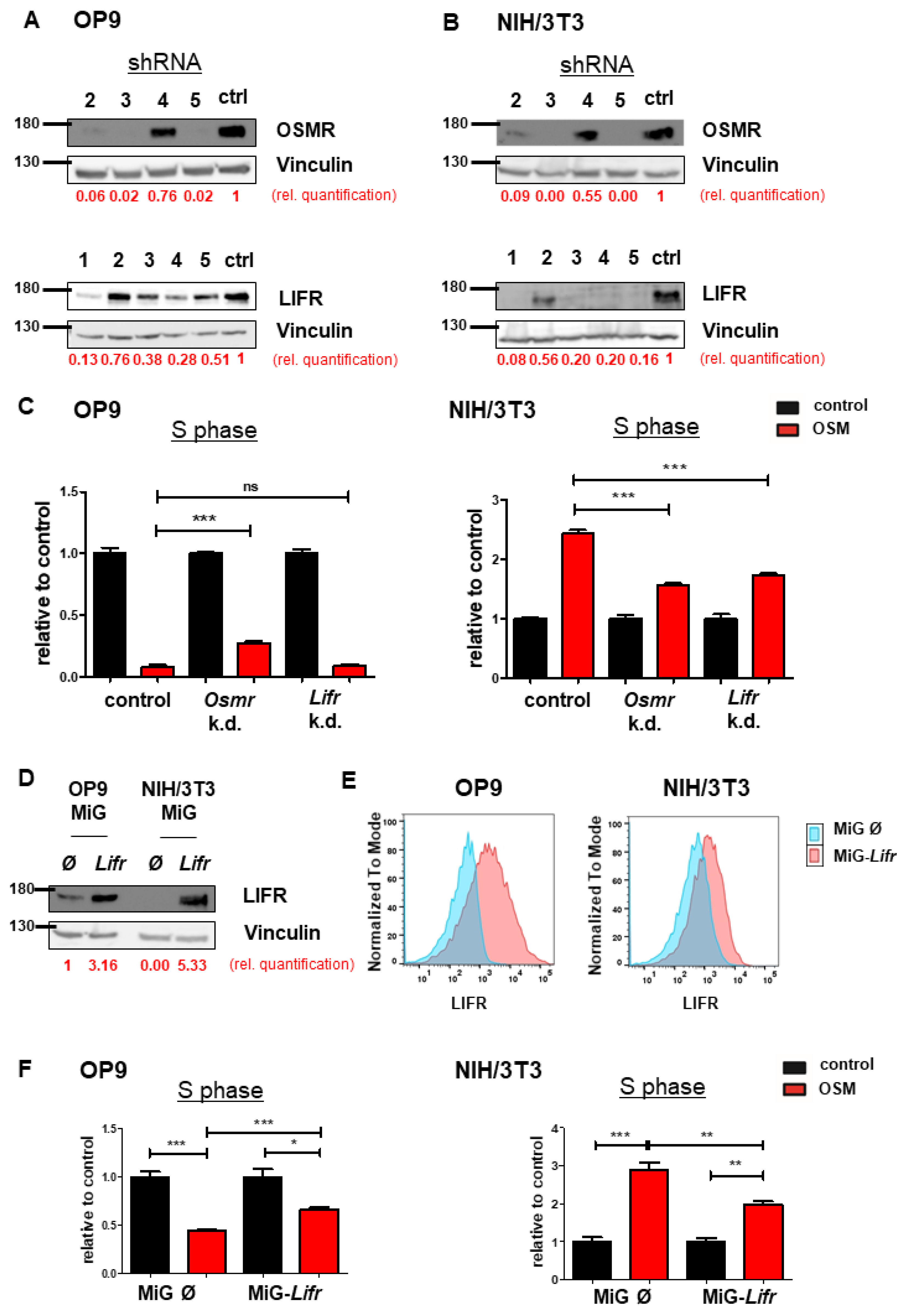 Ijms 22 11649 g003 550
