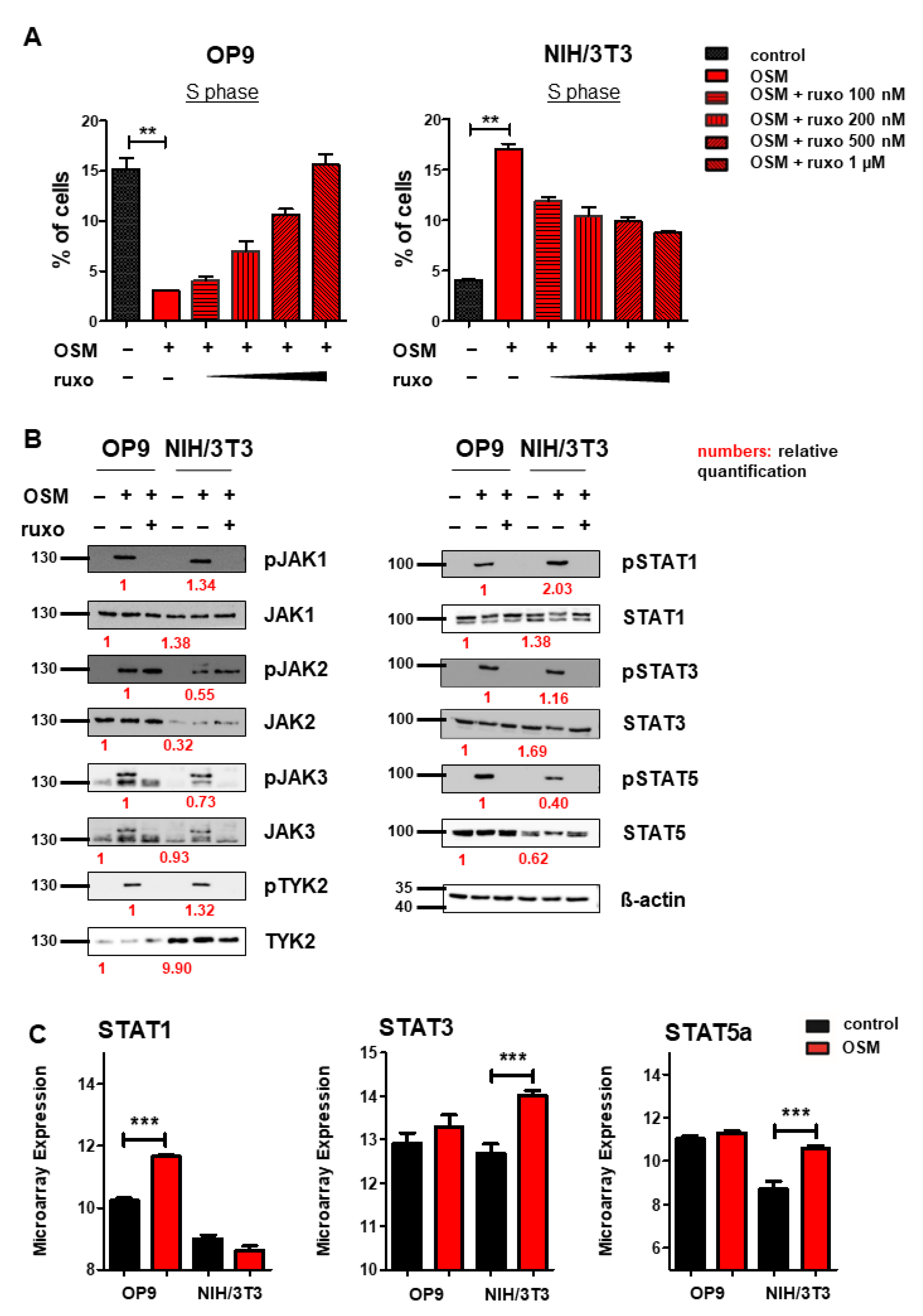 Ijms 22 11649 g004 550
