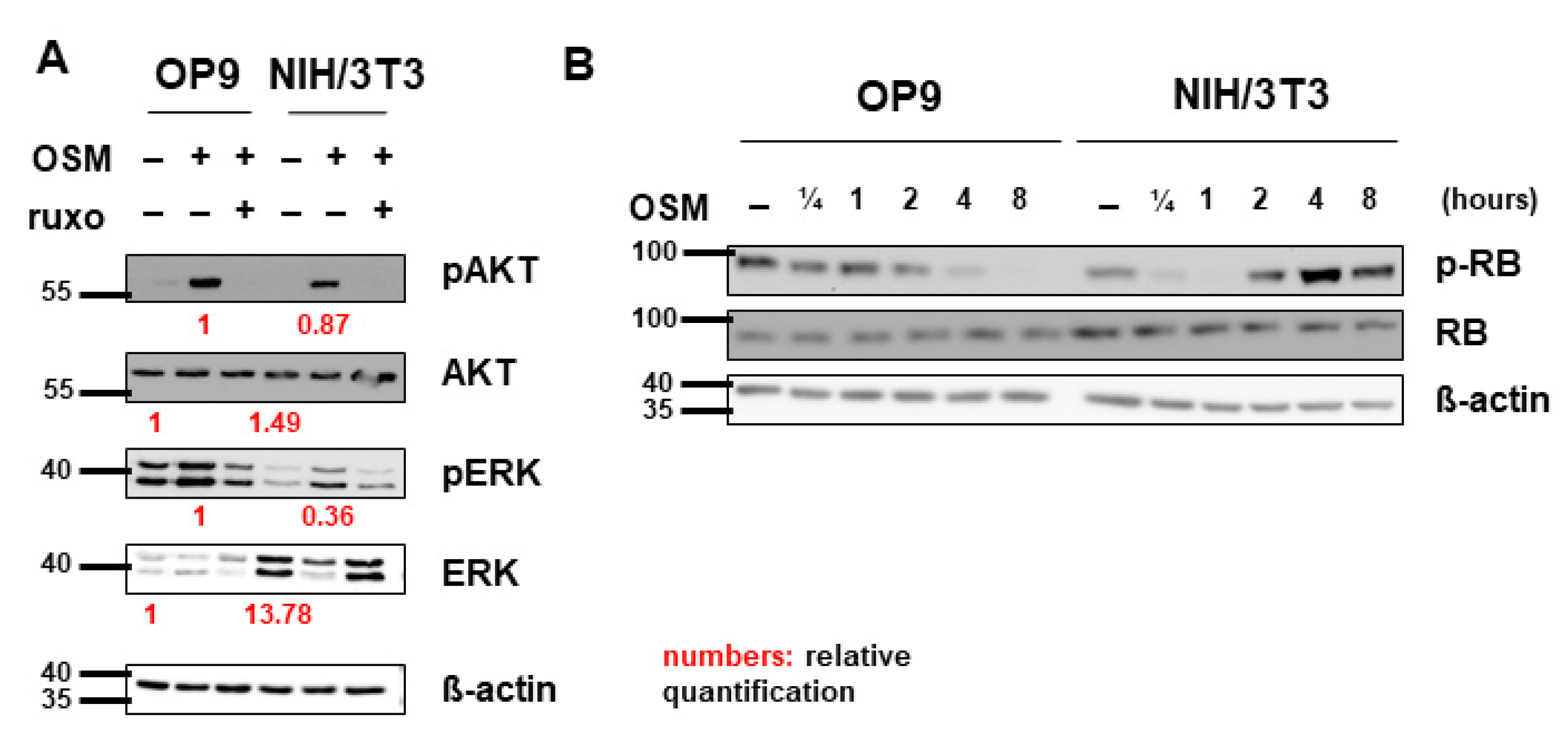 Ijms 22 11649 g005 550