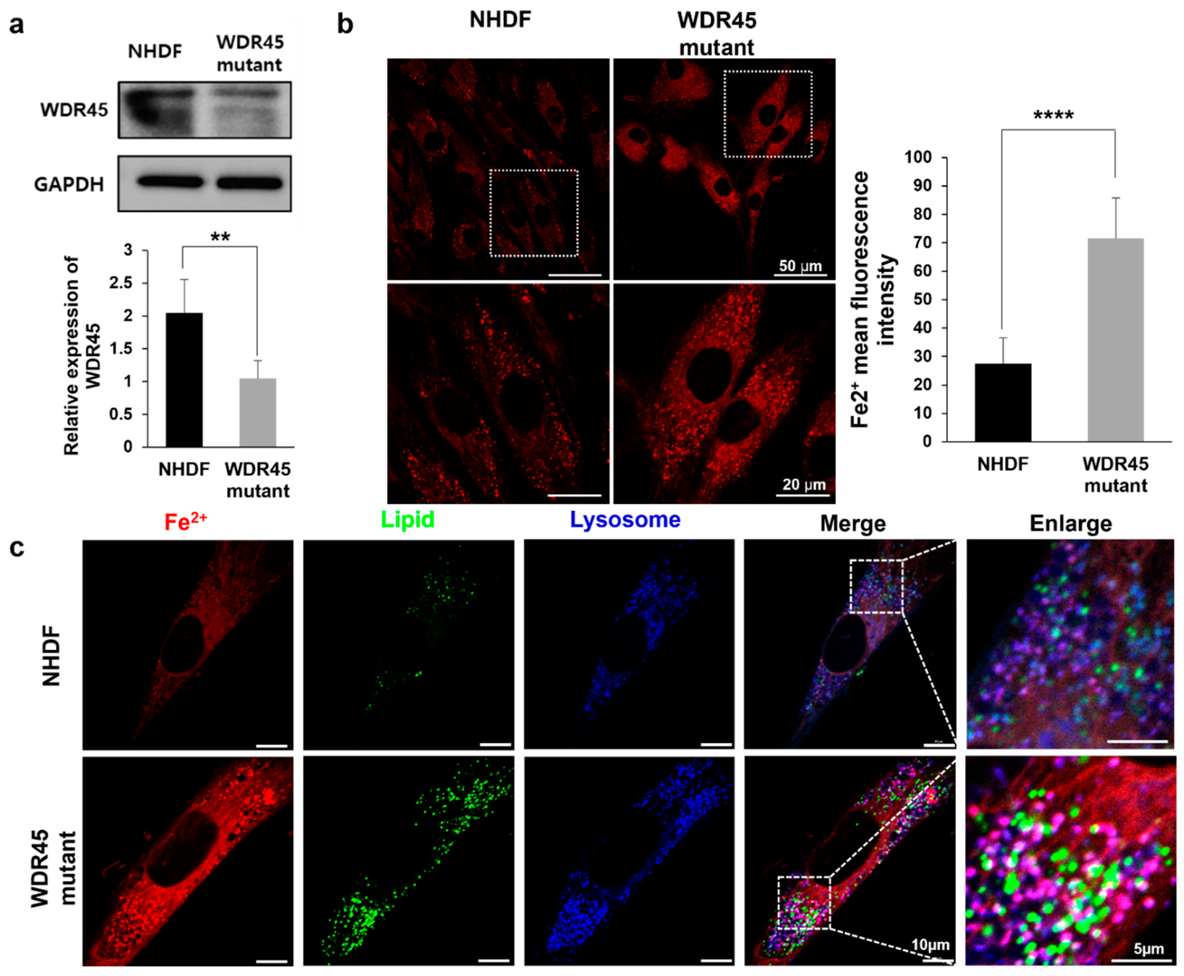 Ijms 22 11650 g001 550
