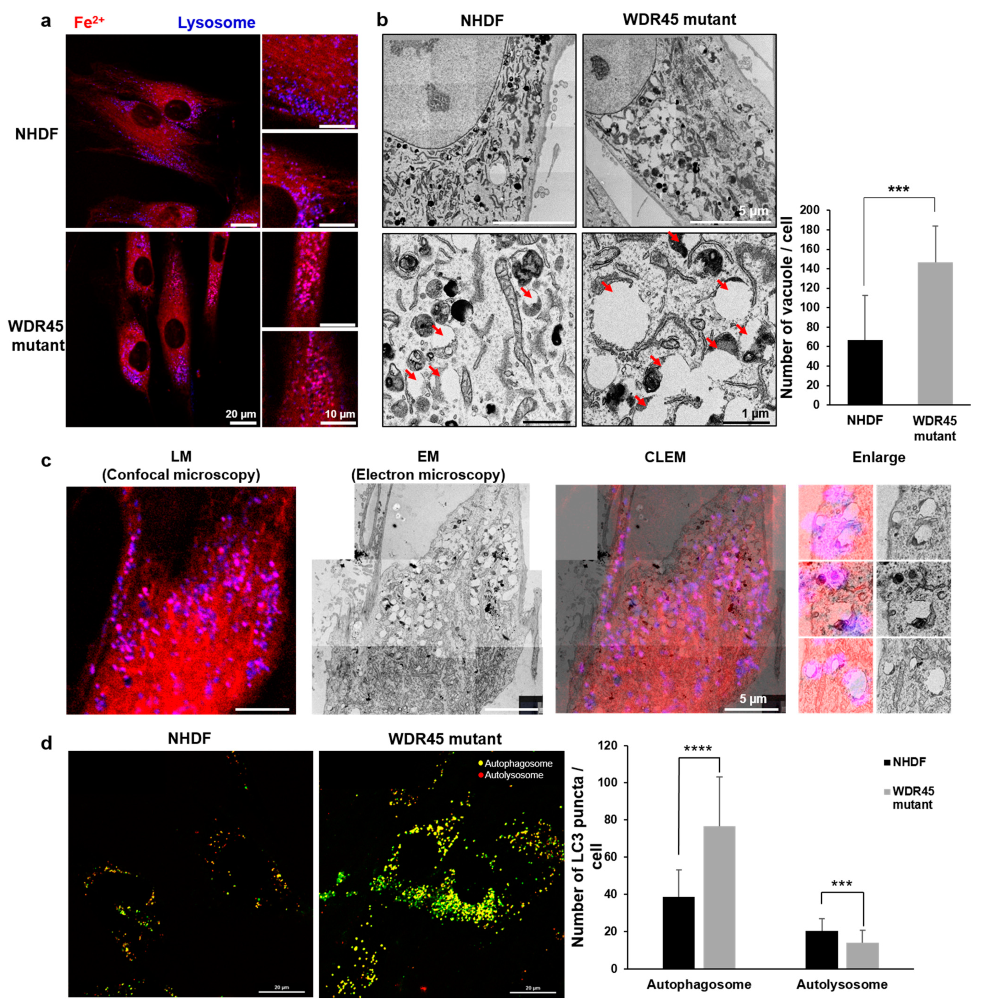 Ijms 22 11650 g003 550