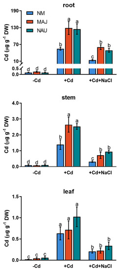 Ectomycorrhizal Fungal Strains Facilitate Cd2+ Enrichment in a