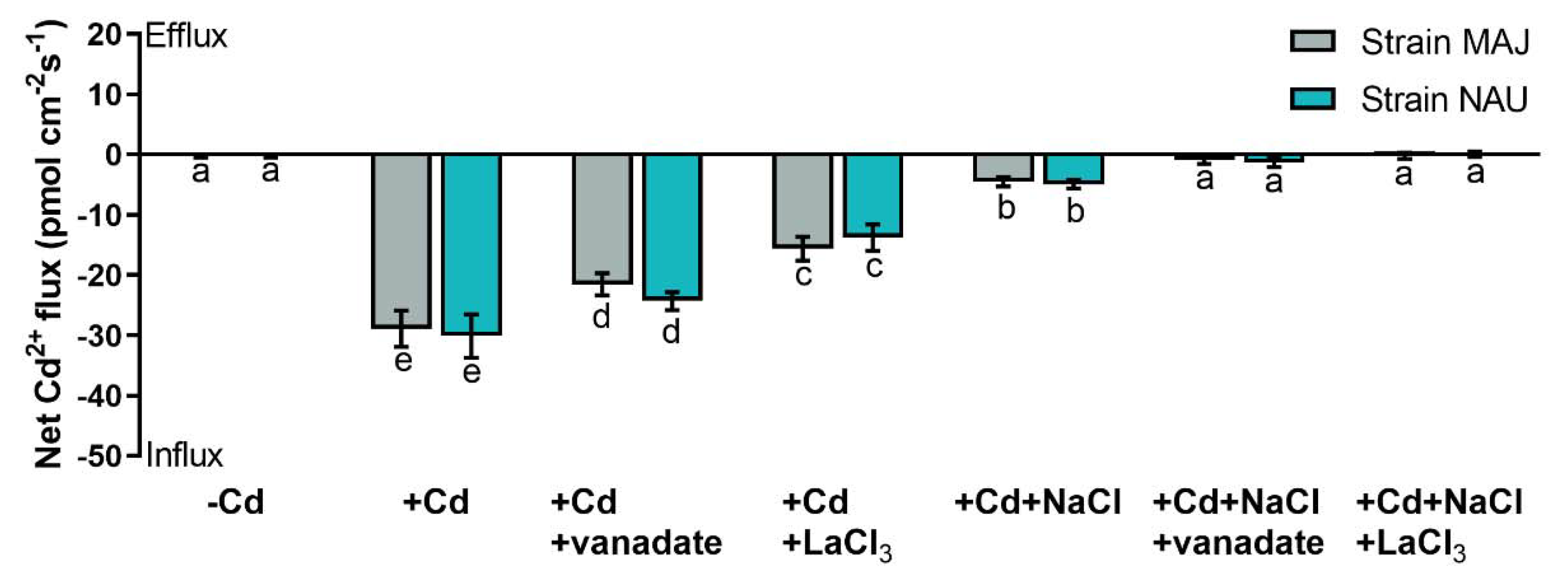Ijms 22 11651 g003 Ijms 22 11651 g003
