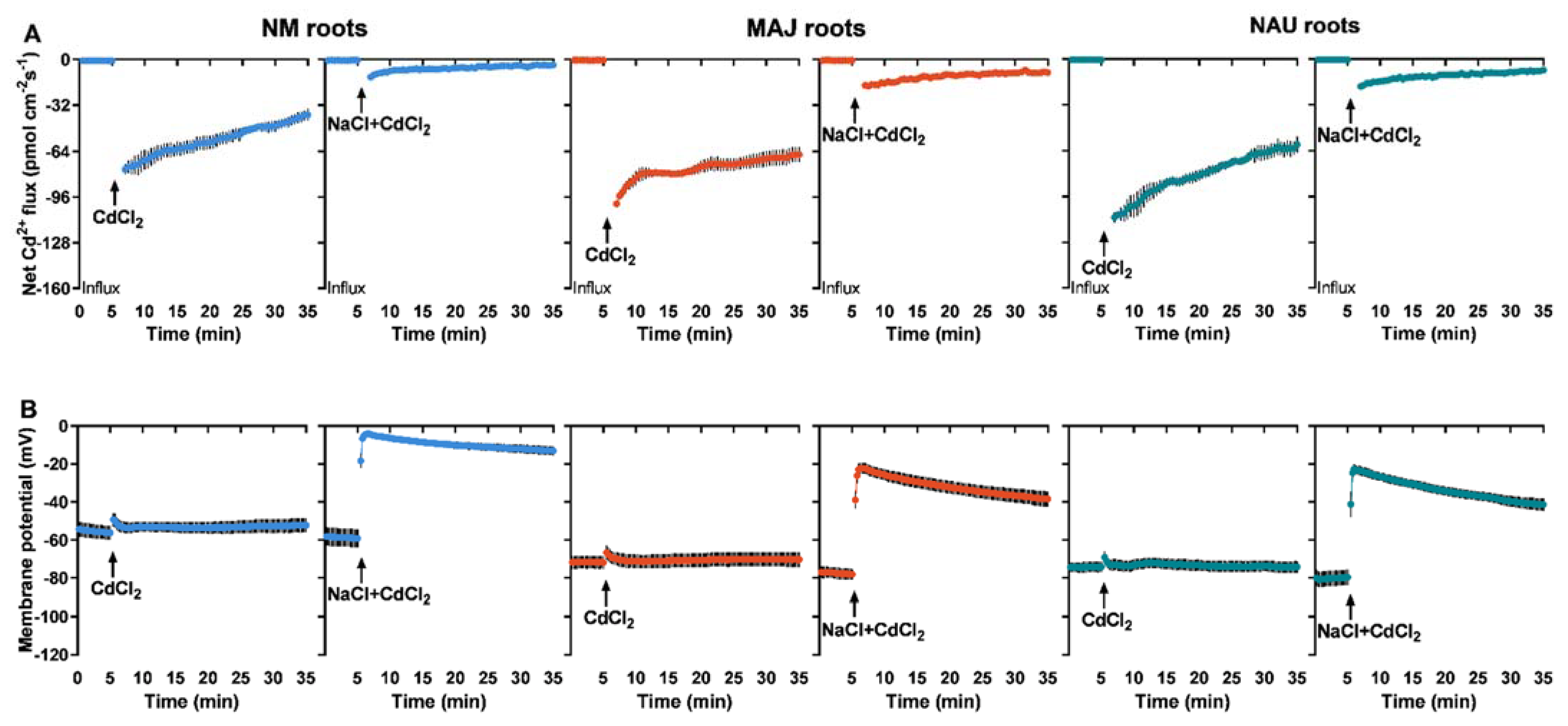 Ijms 22 11651 g004 Ijms 22 11651 g004
