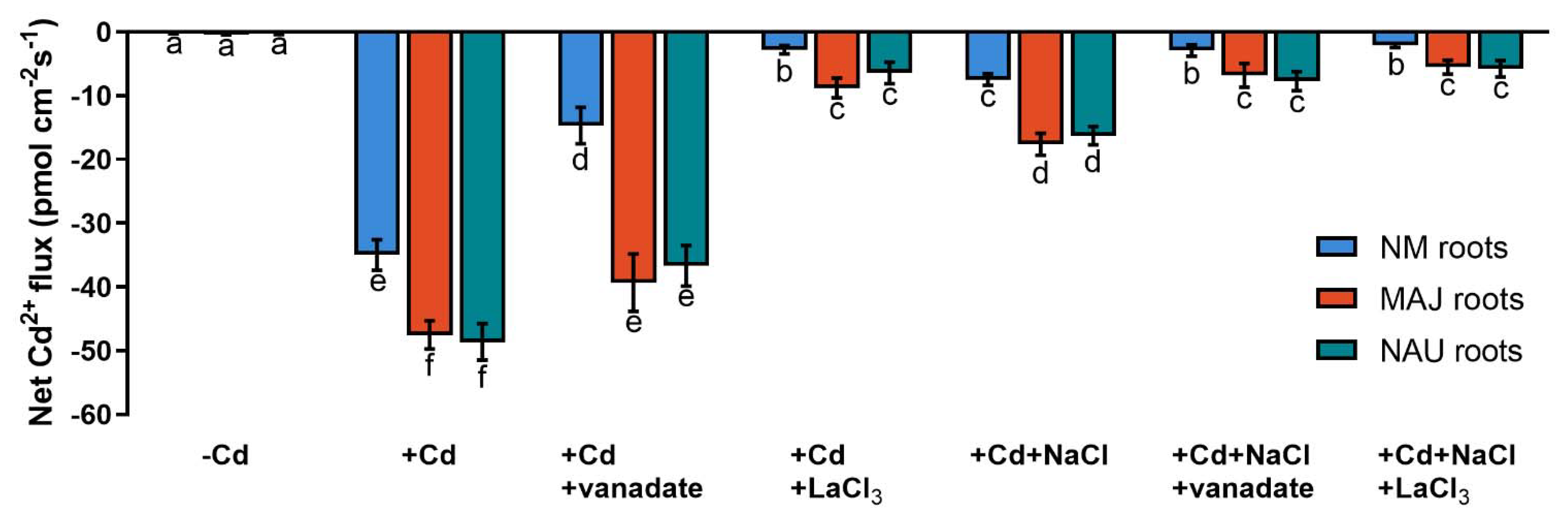 Ijms 22 11651 g005 Ijms 22 11651 g005