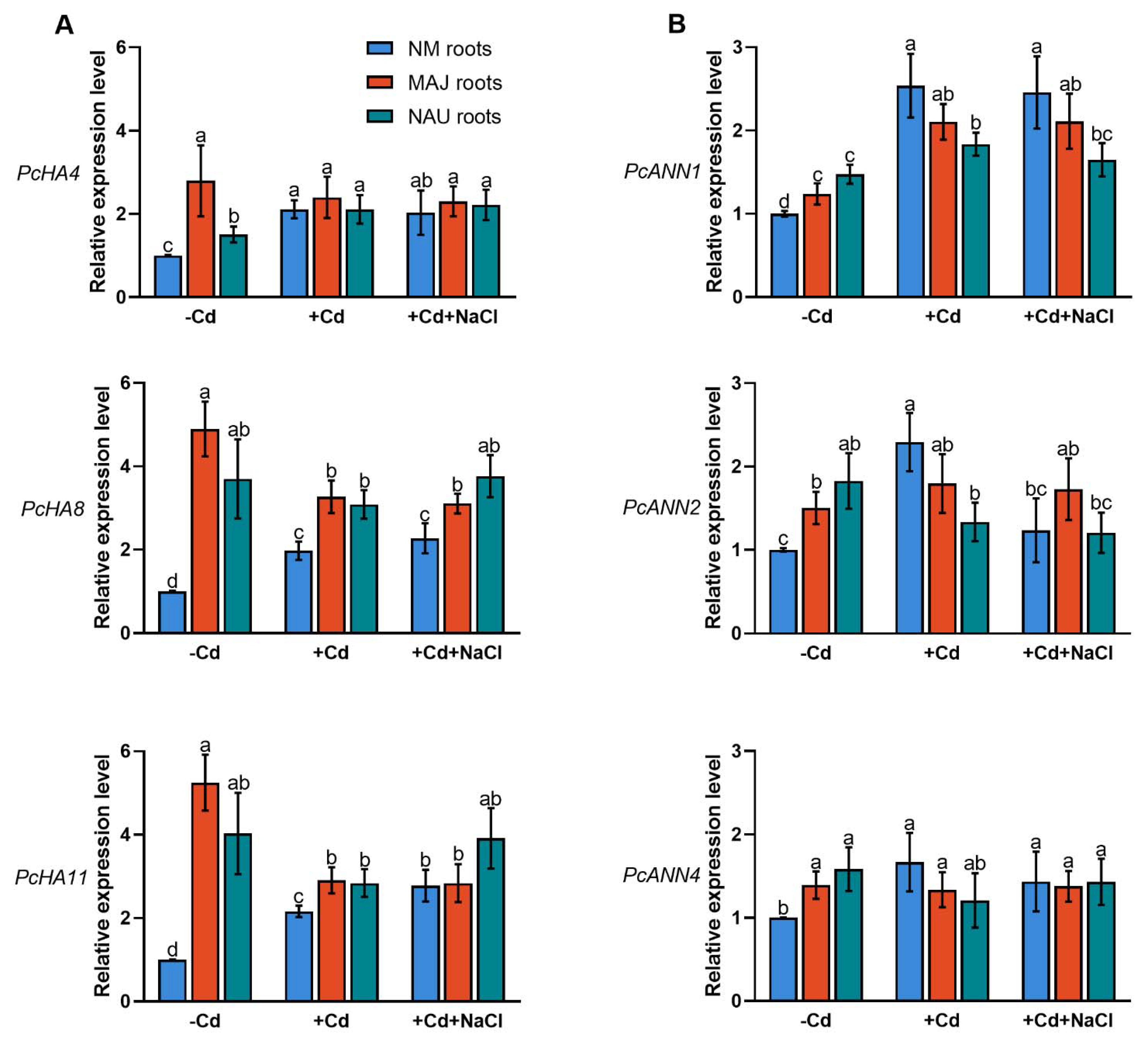 Ijms 22 11651 g007 Ijms 22 11651 g007