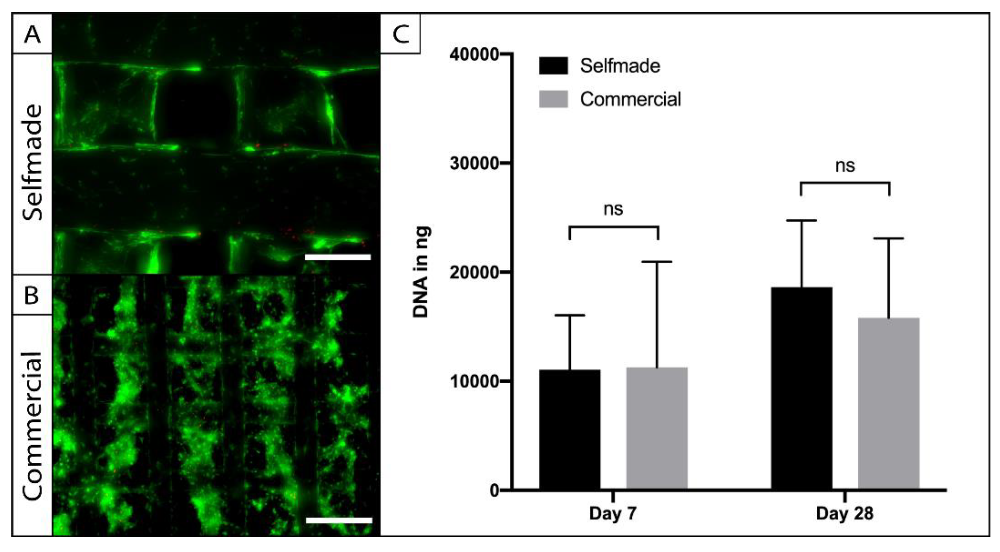 Ijms 22 11667 g004 550