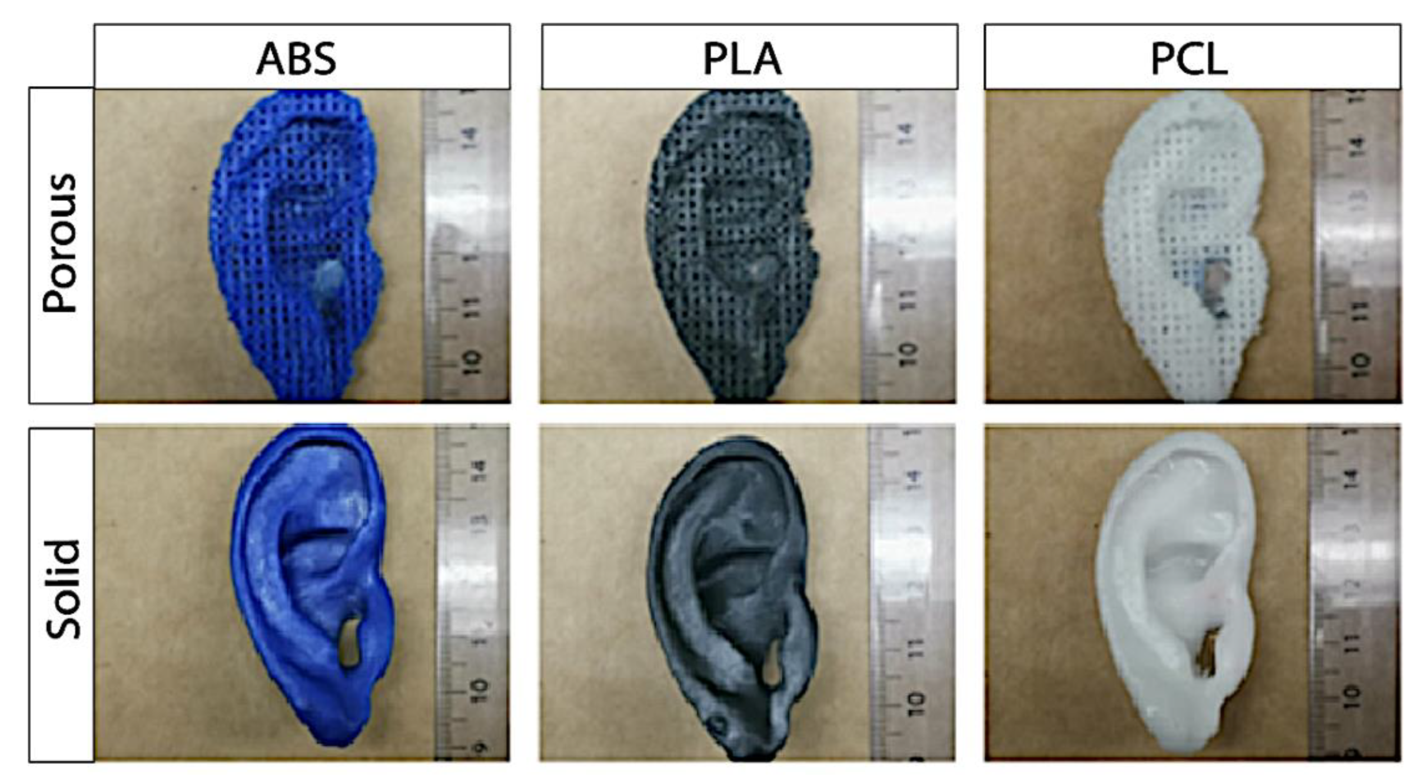 Ijms 22 11667 g005 550