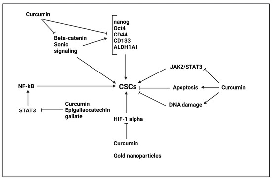 1230 Targeting Cancer Stem Cells by Dietary Agents: An Important