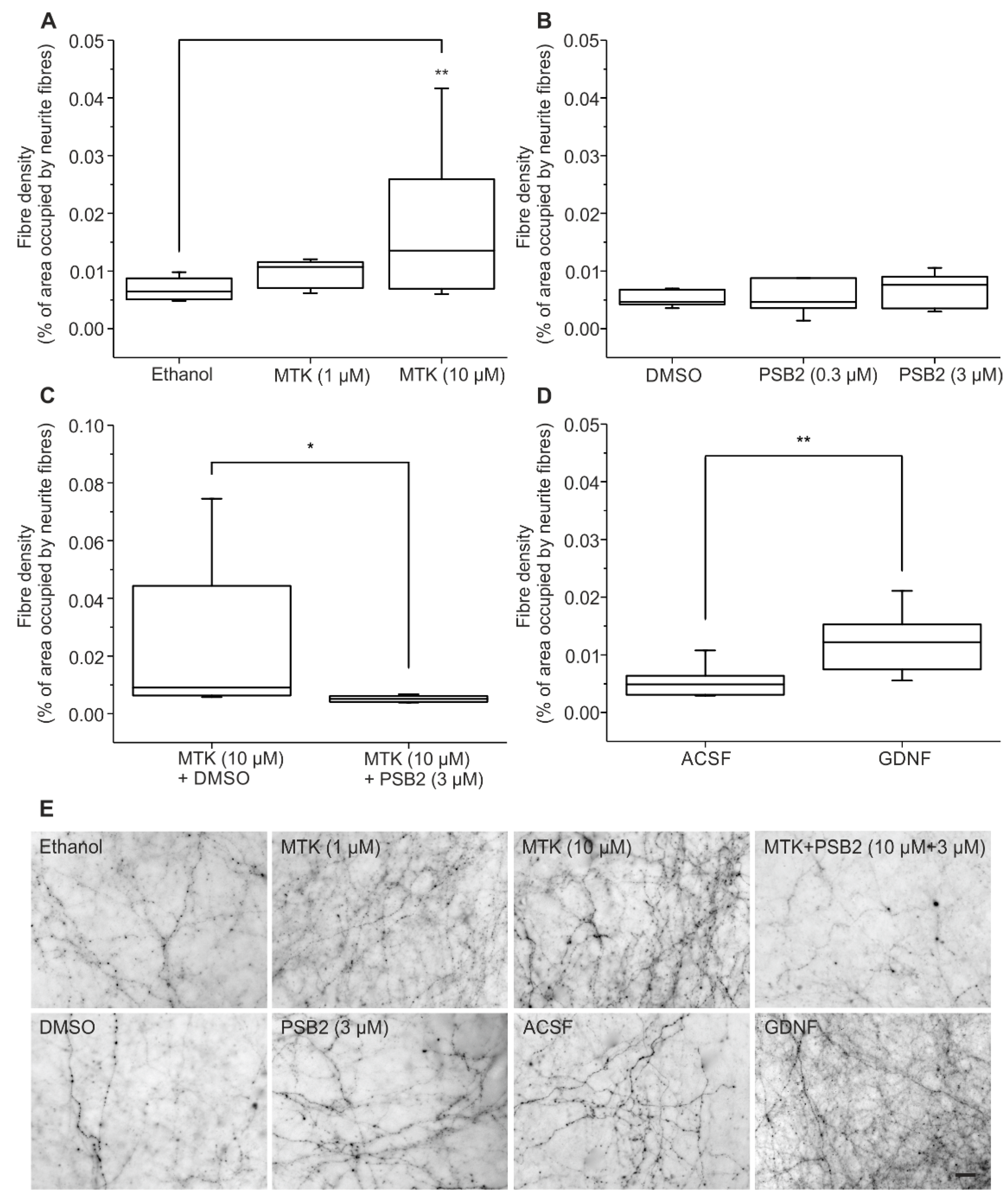 Ijms 22 11683 g002 Ijms 22 11683 g002