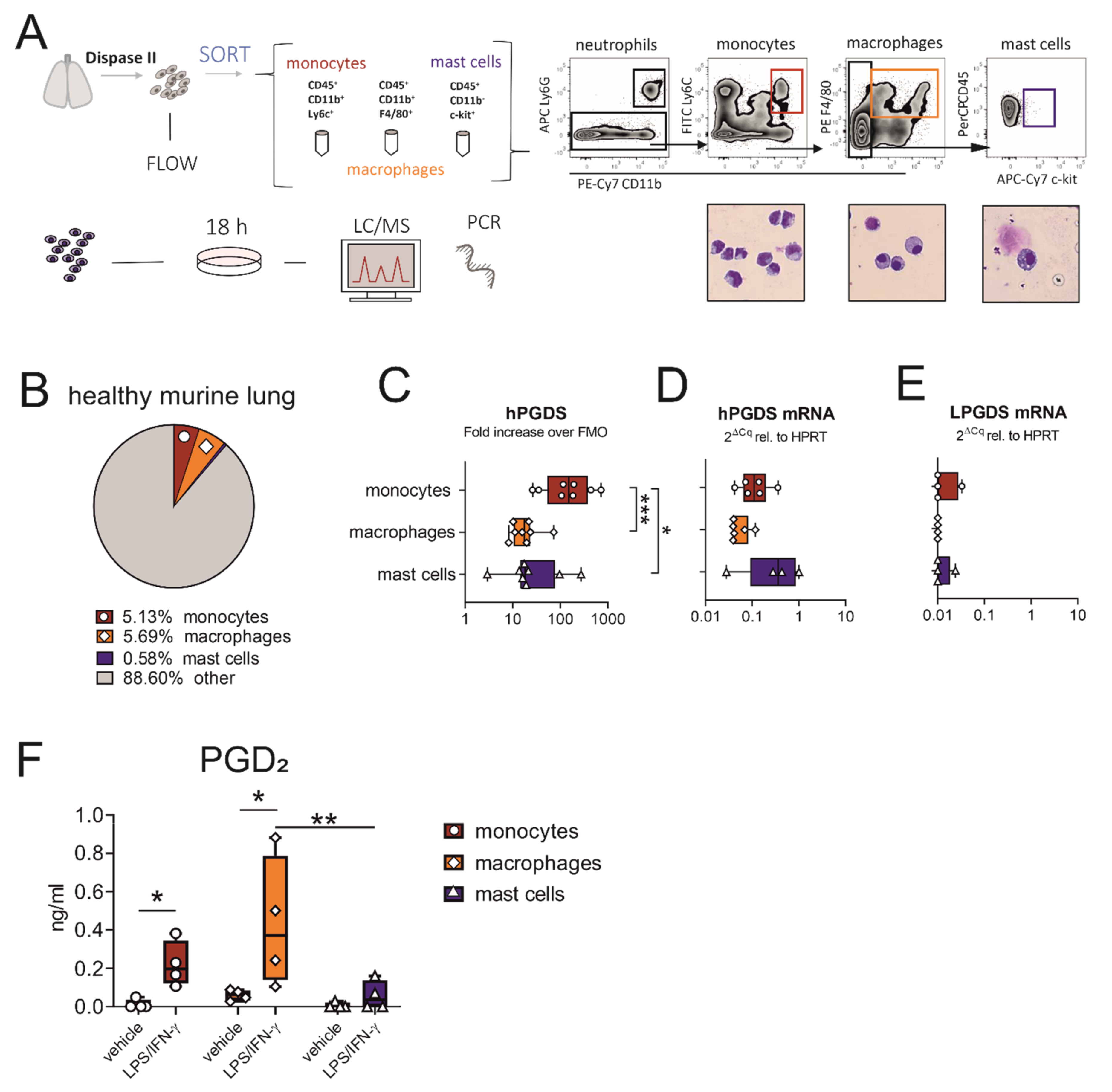 Ijms 22 11697 g002 550