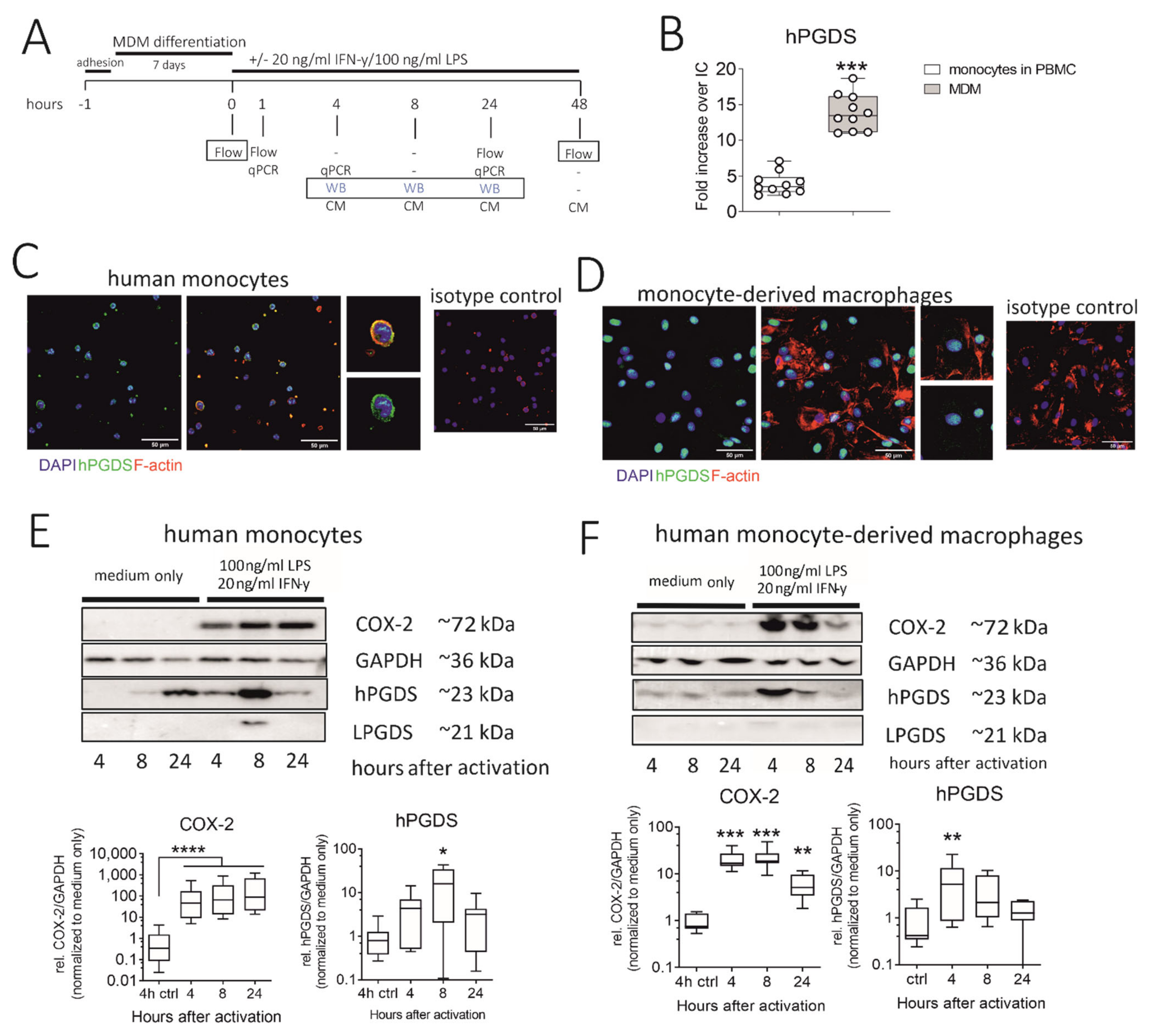 Ijms 22 11697 g004 550