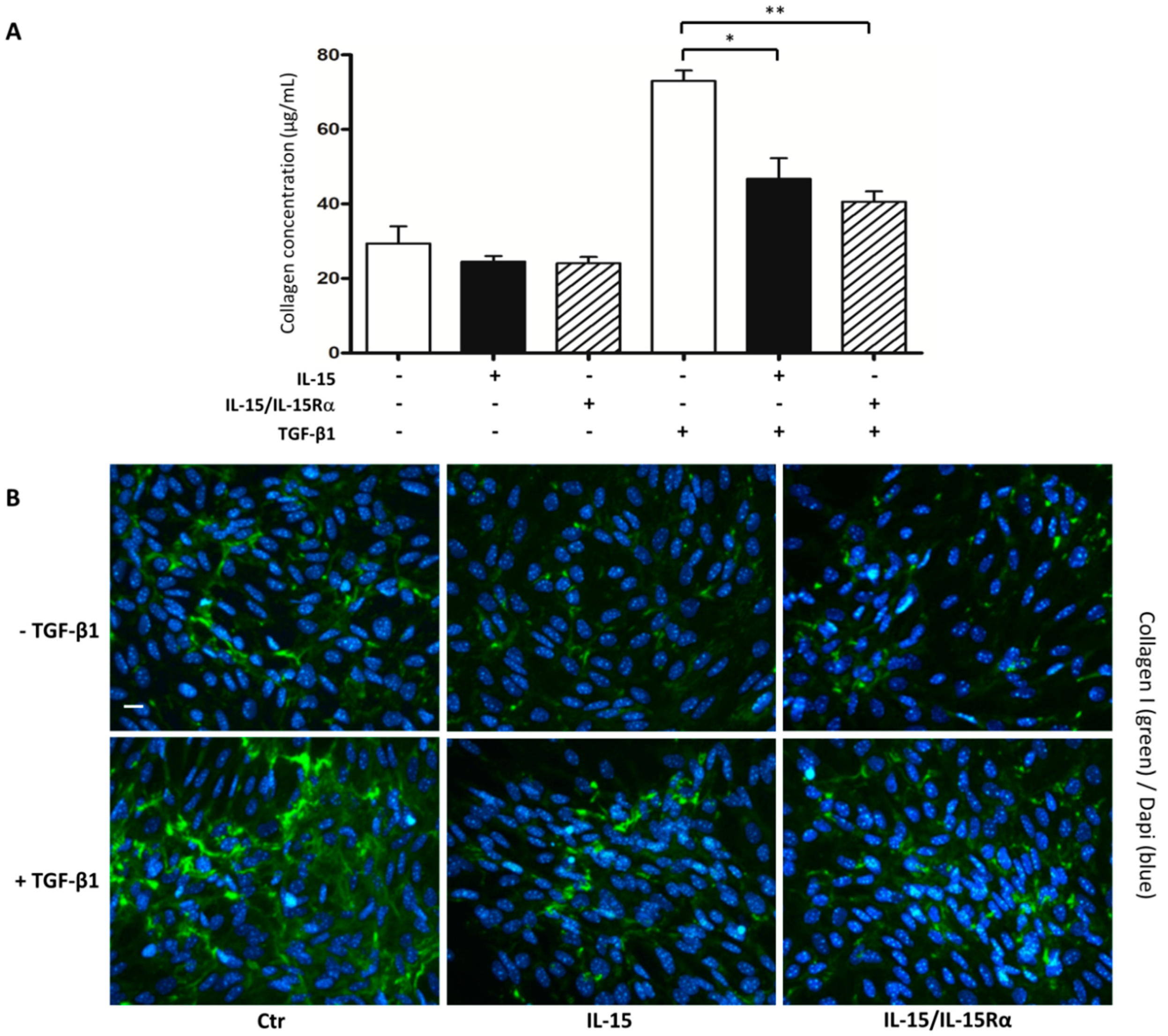 Ijms 22 11698 g005 Ijms 22 11698 g005