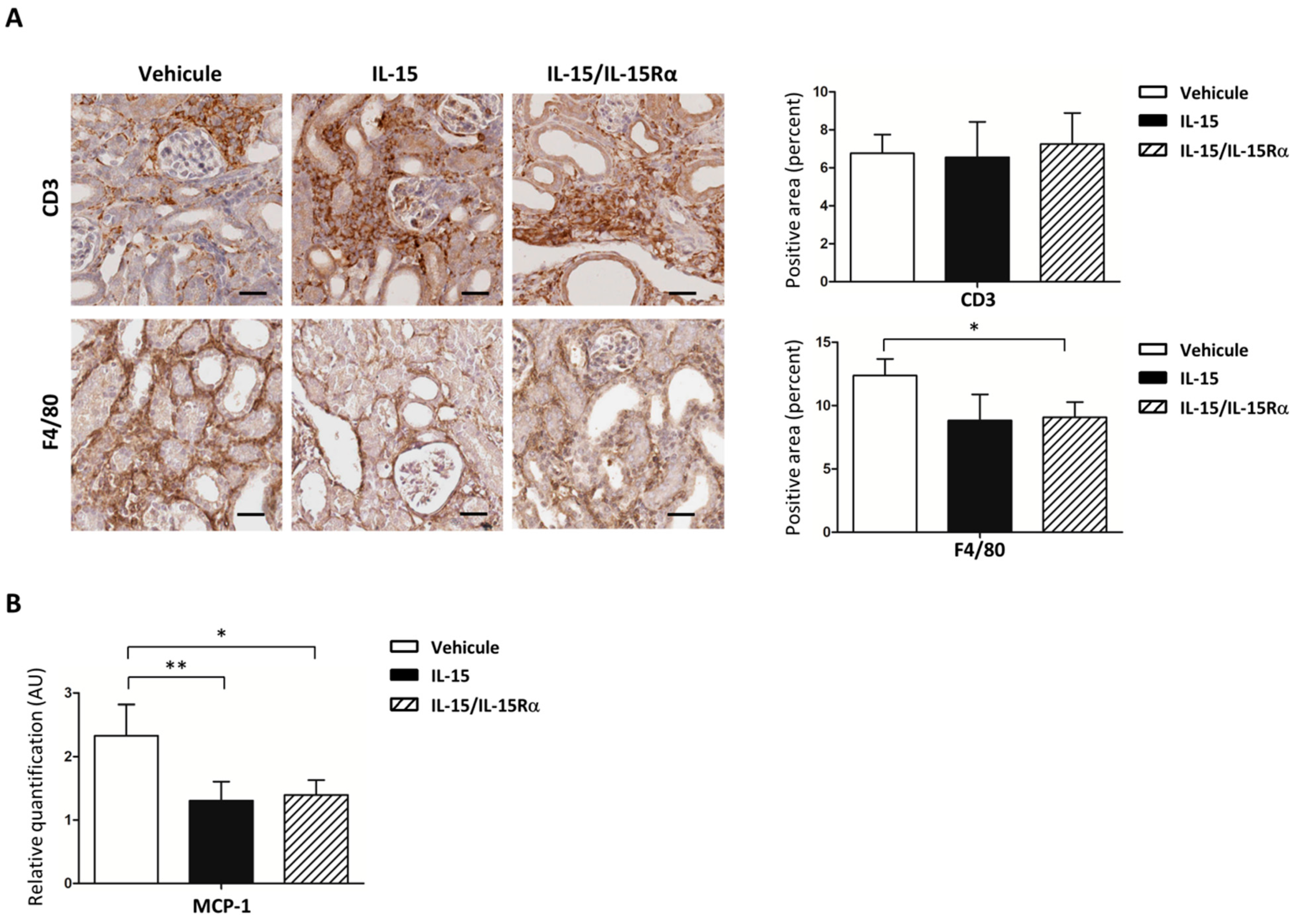 Ijms 22 11698 g007 Ijms 22 11698 g007