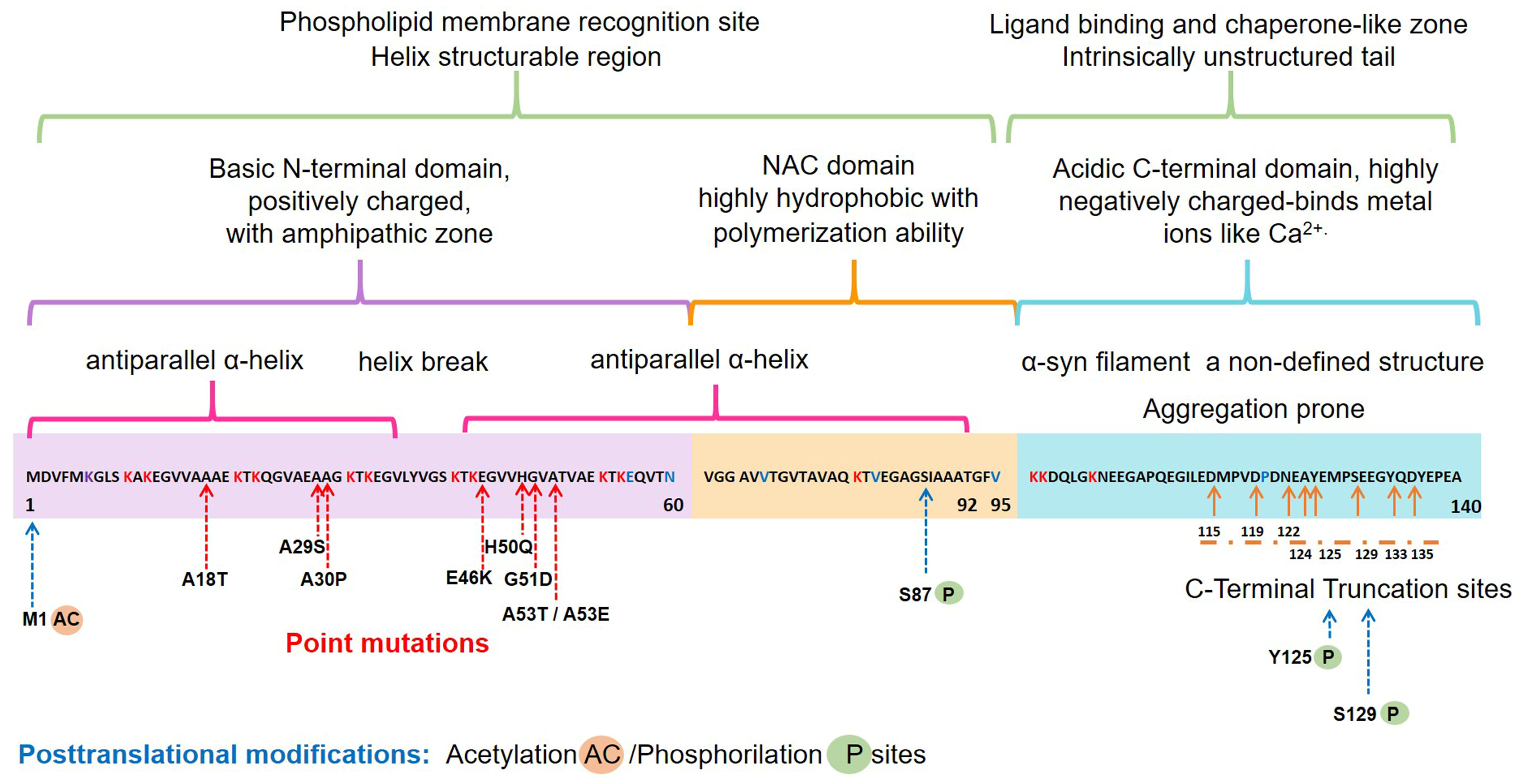 Ijms 22 11702 g001 550