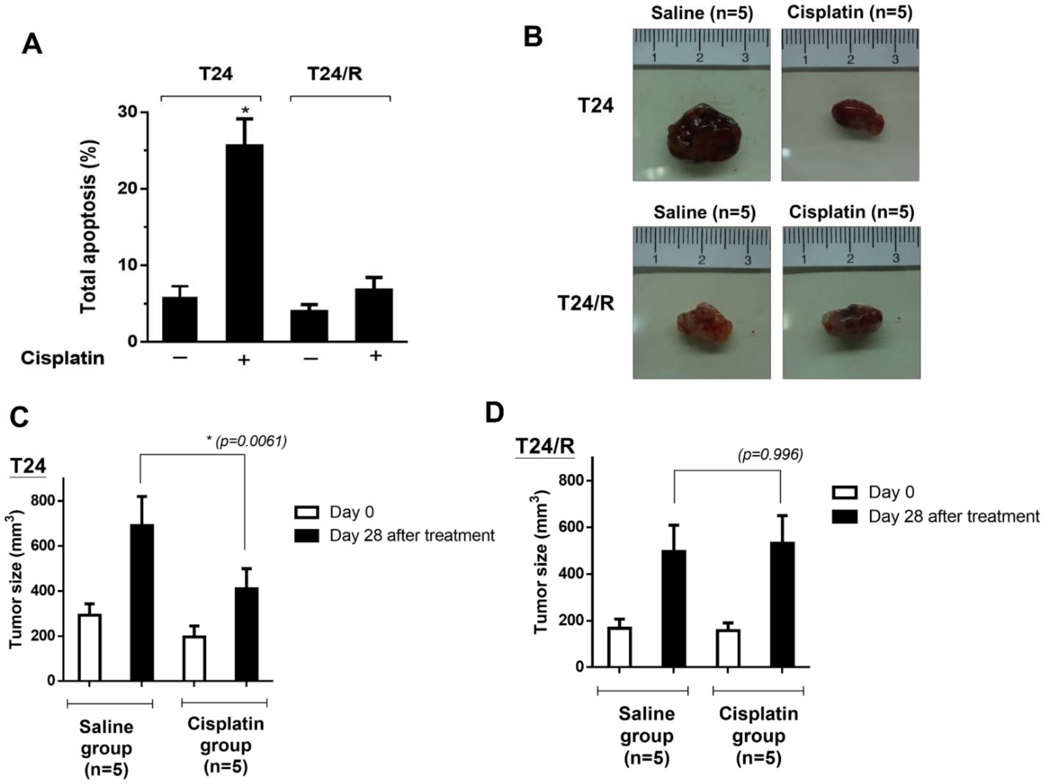Ijms 22 11706 g001 550