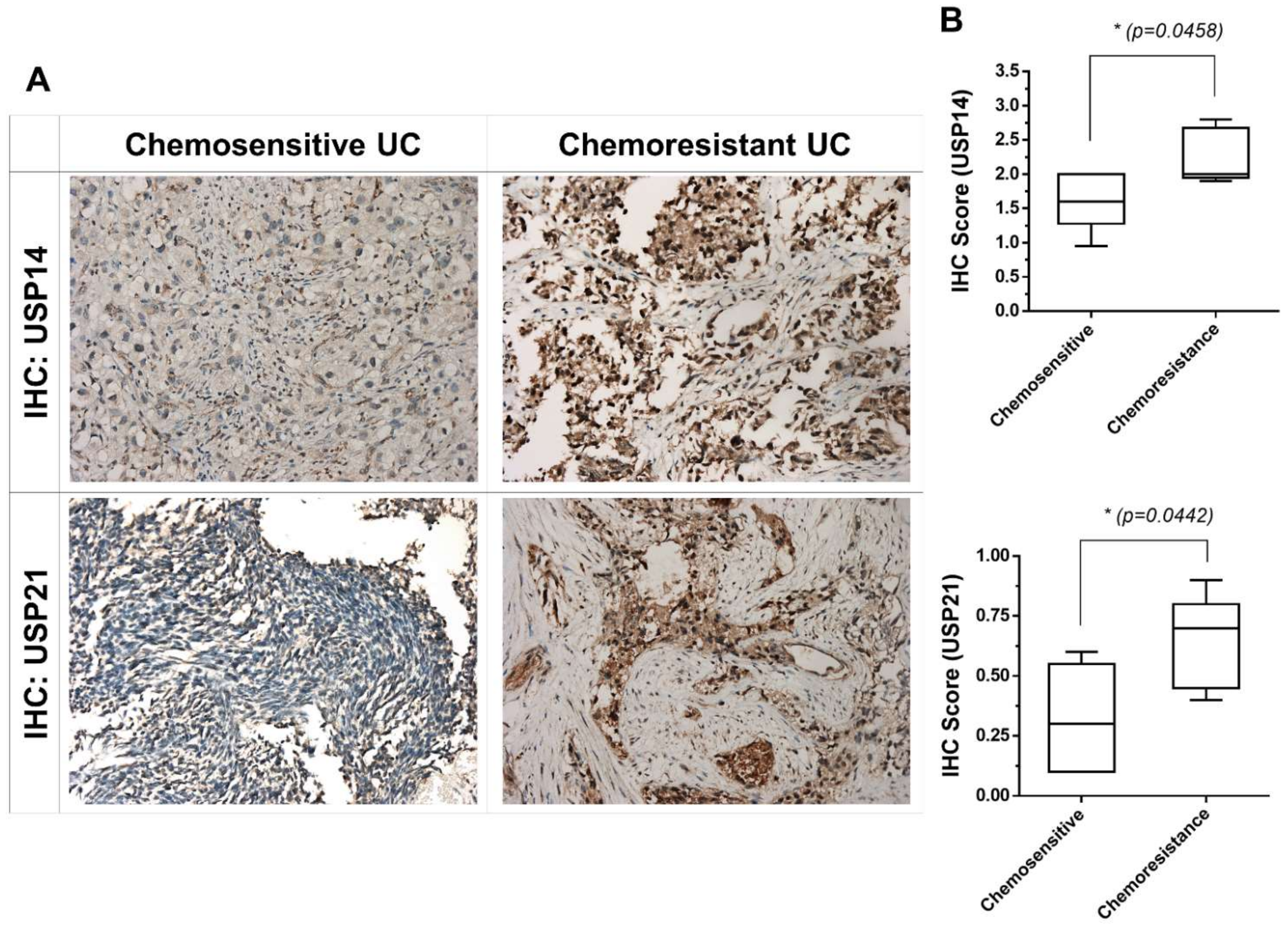 Ijms 22 11706 g002 550