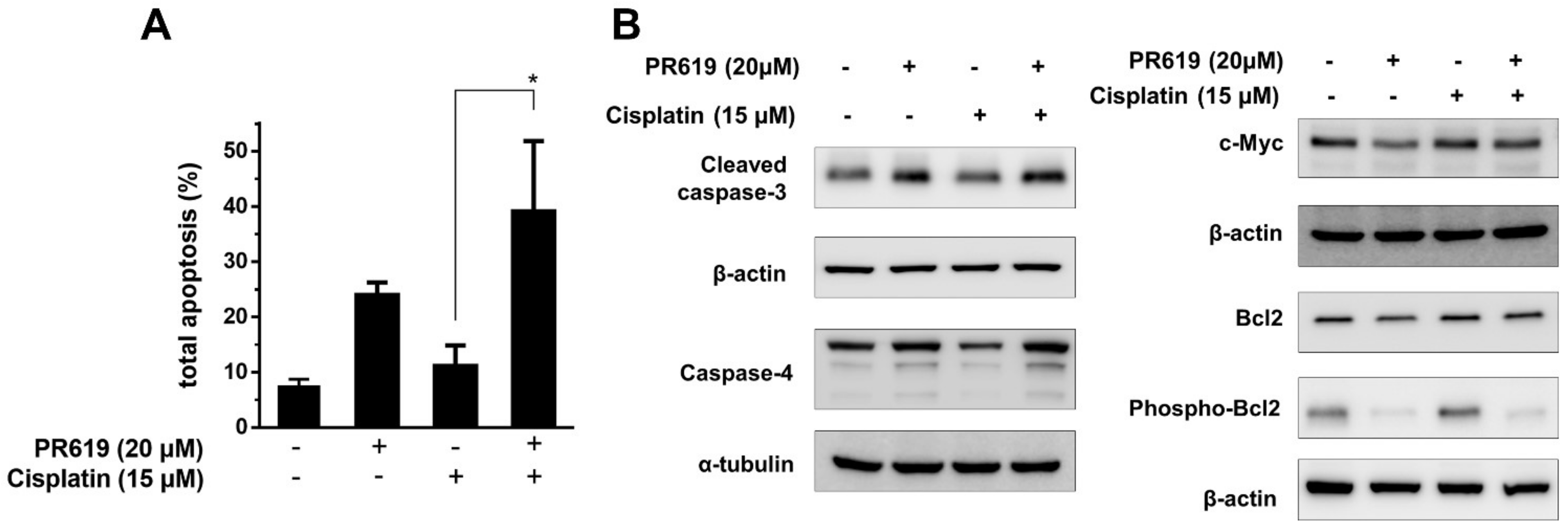 Ijms 22 11706 g004 550