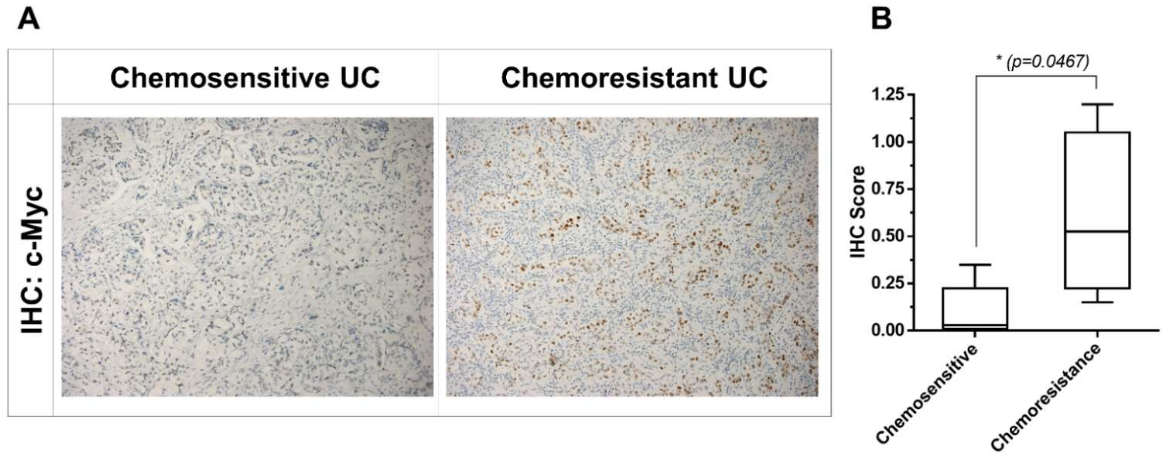 Ijms 22 11706 g005 550