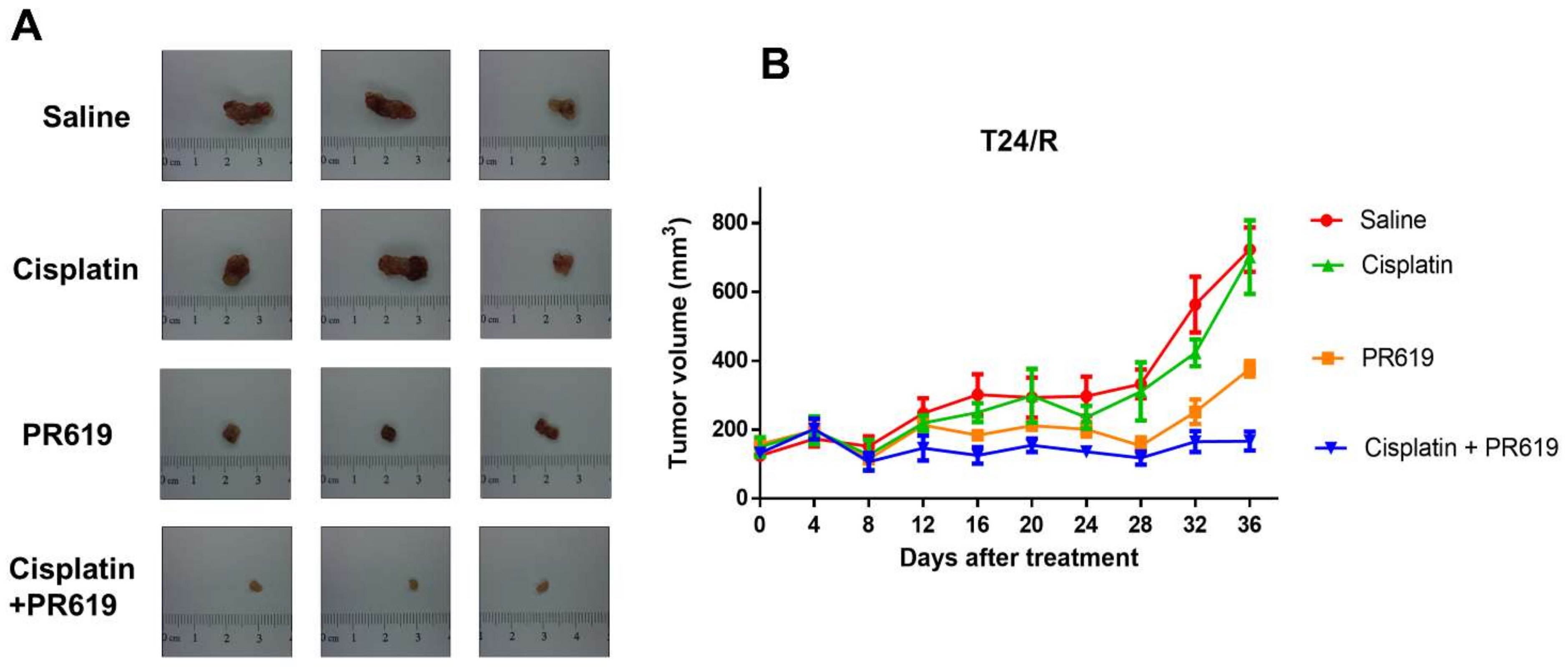 Ijms 22 11706 g006 550