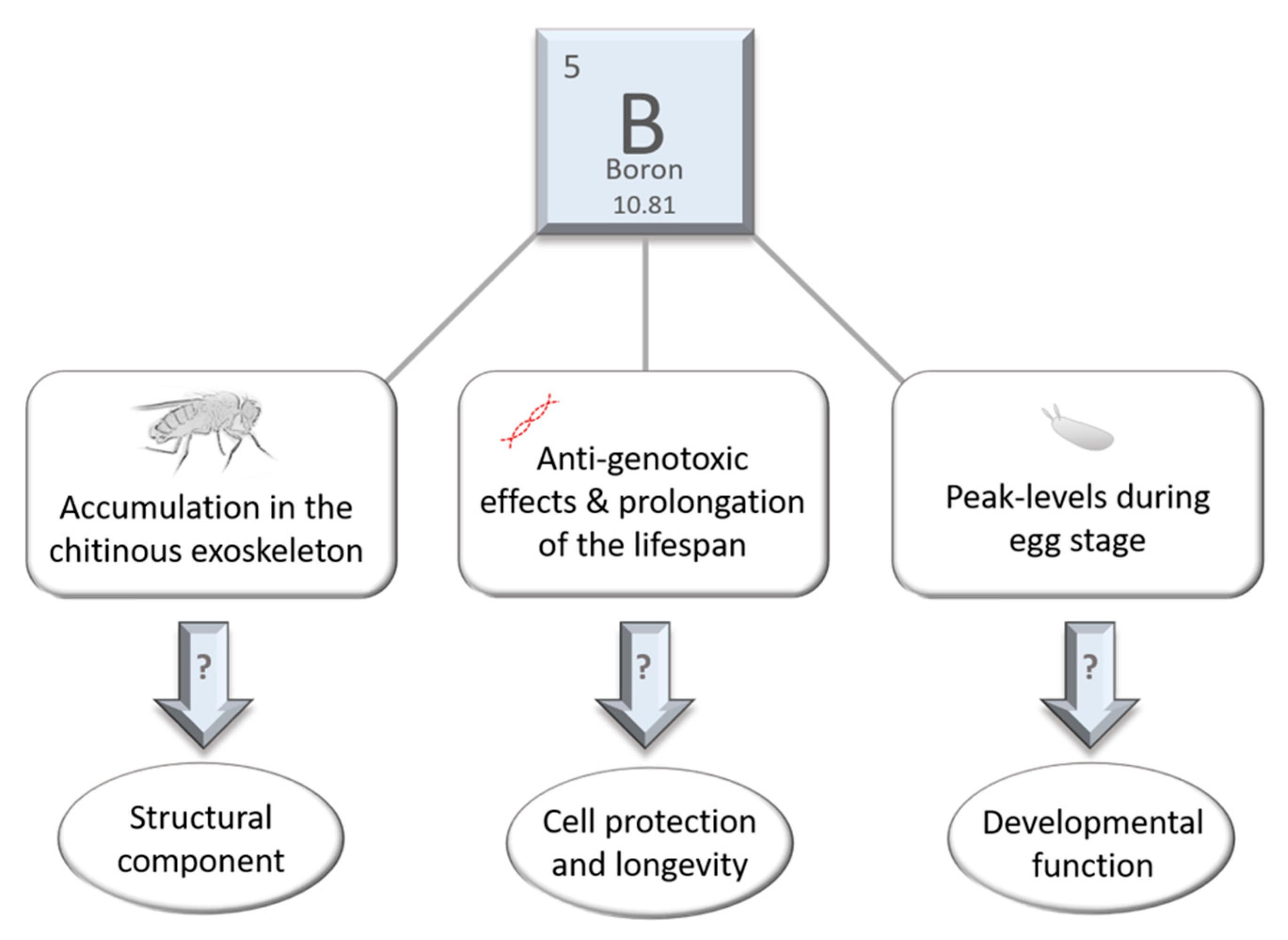 Ijms 22 11710 g002 Ijms 22 11710 g002