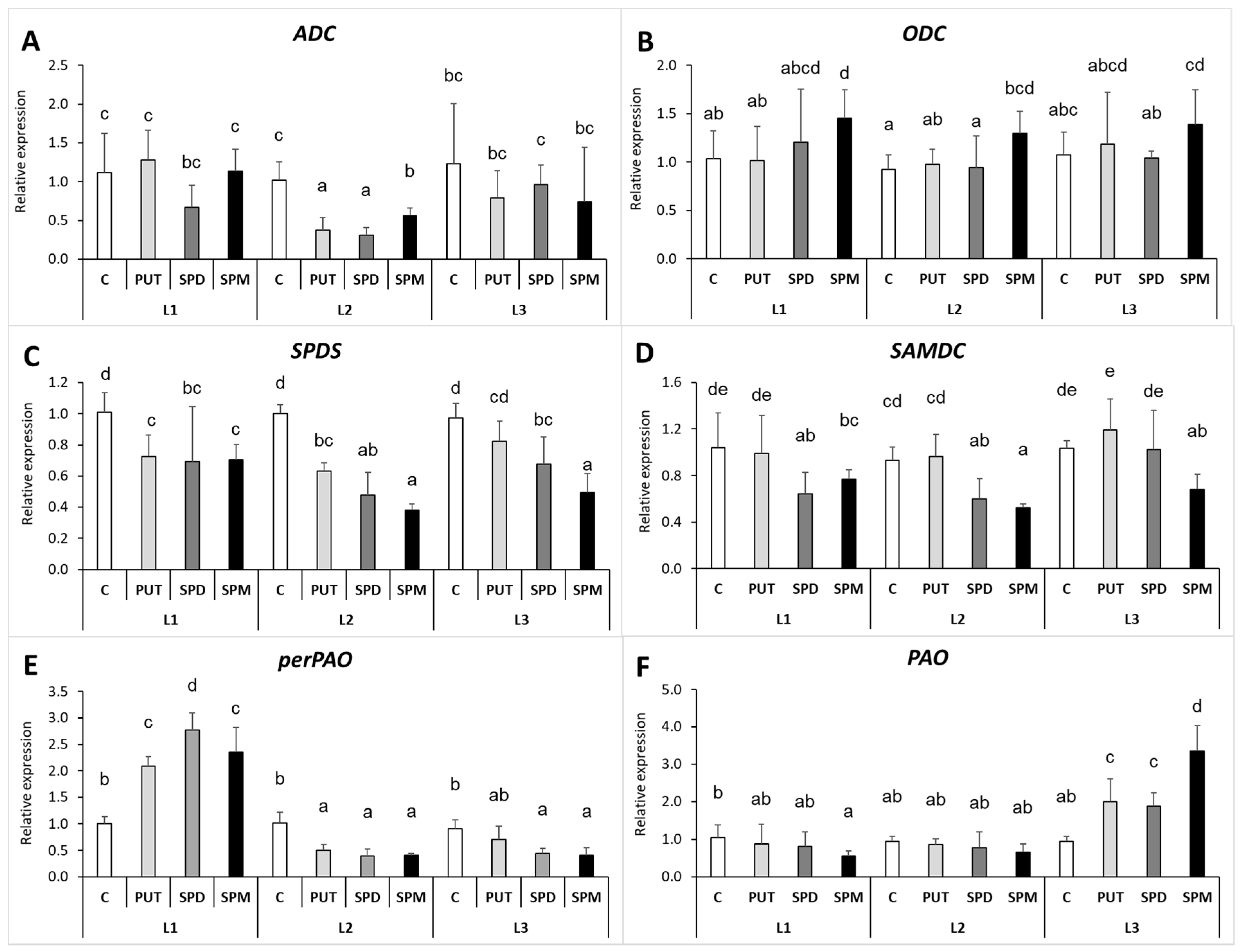 Ijms 22 11717 g007 550