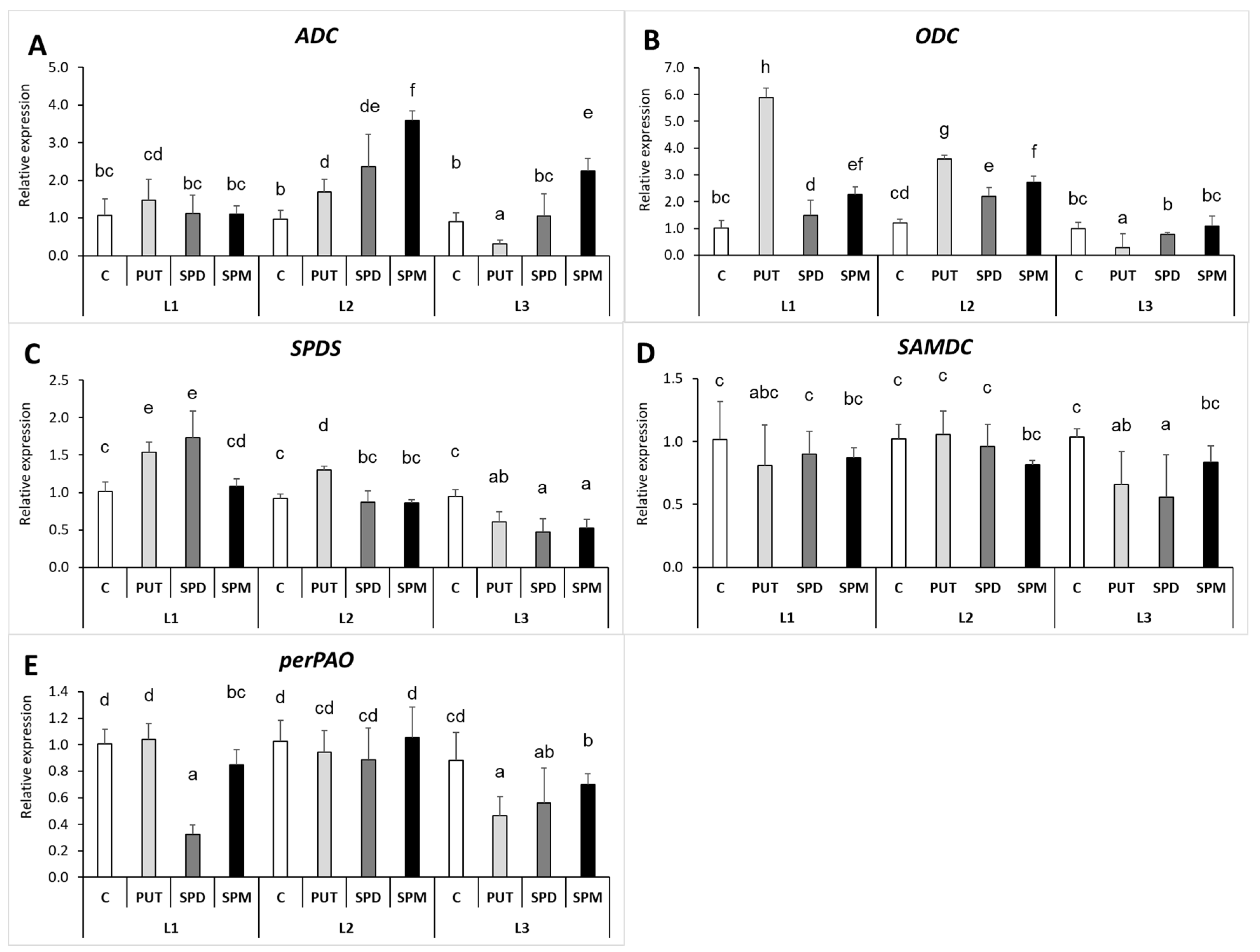 Ijms 22 11717 g008 550