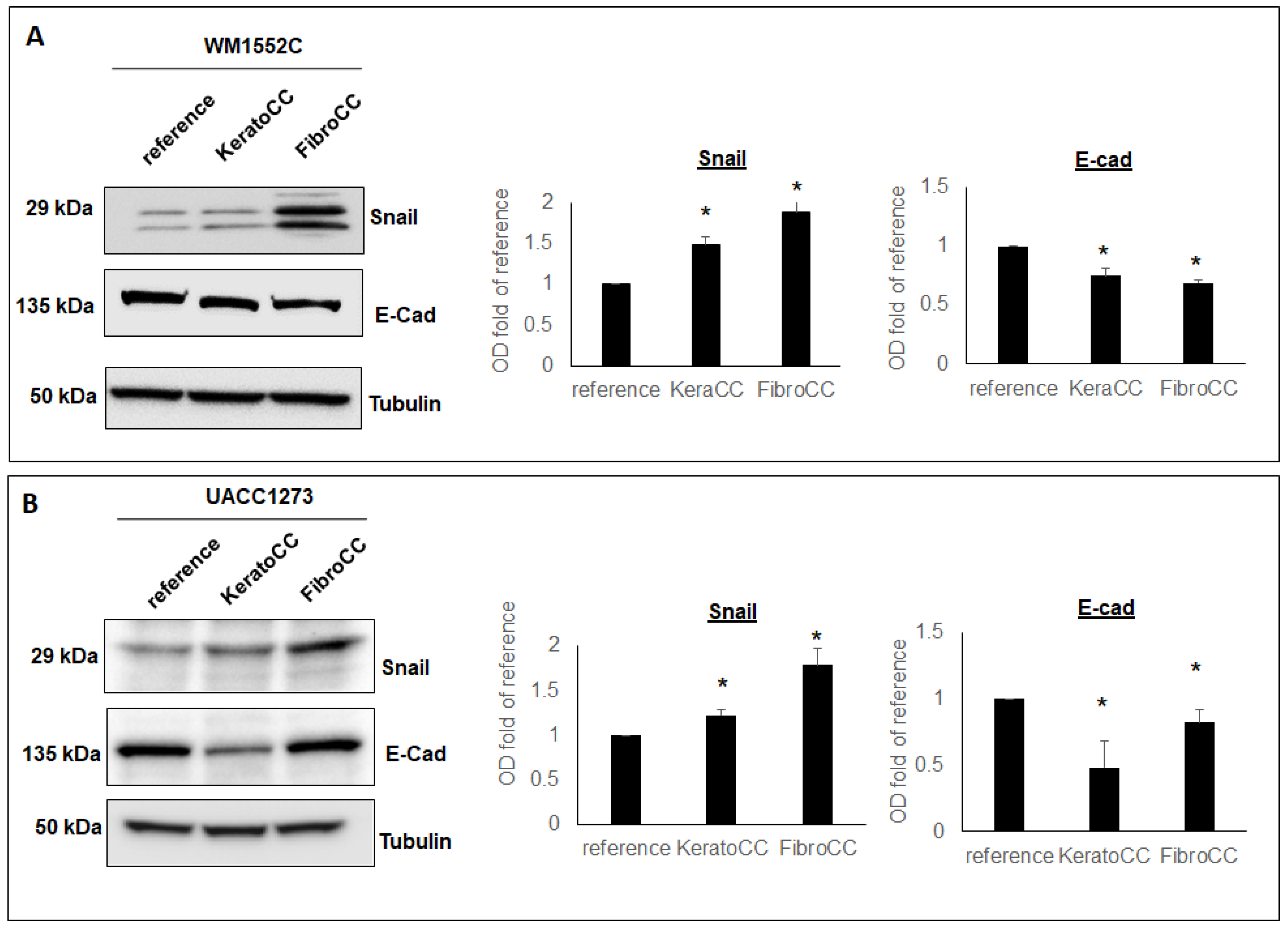 Ijms 22 11719 g002 550