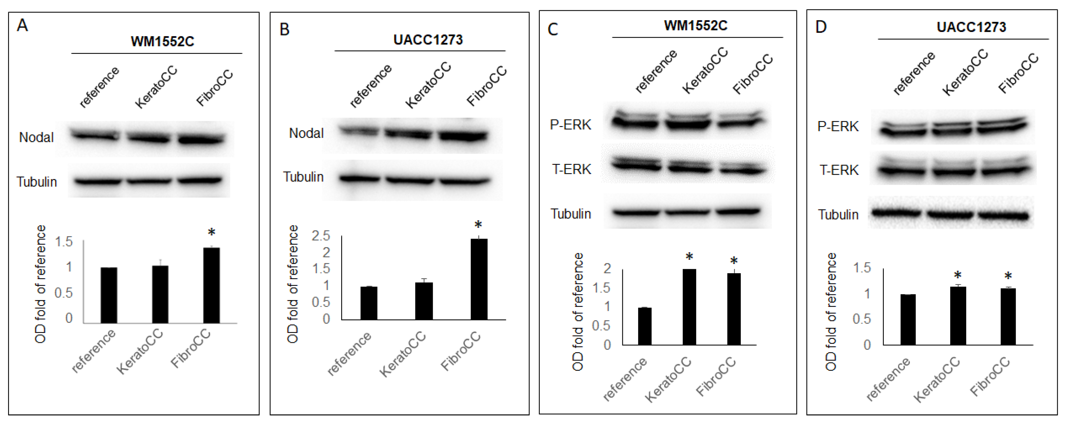 Ijms 22 11719 g003 550